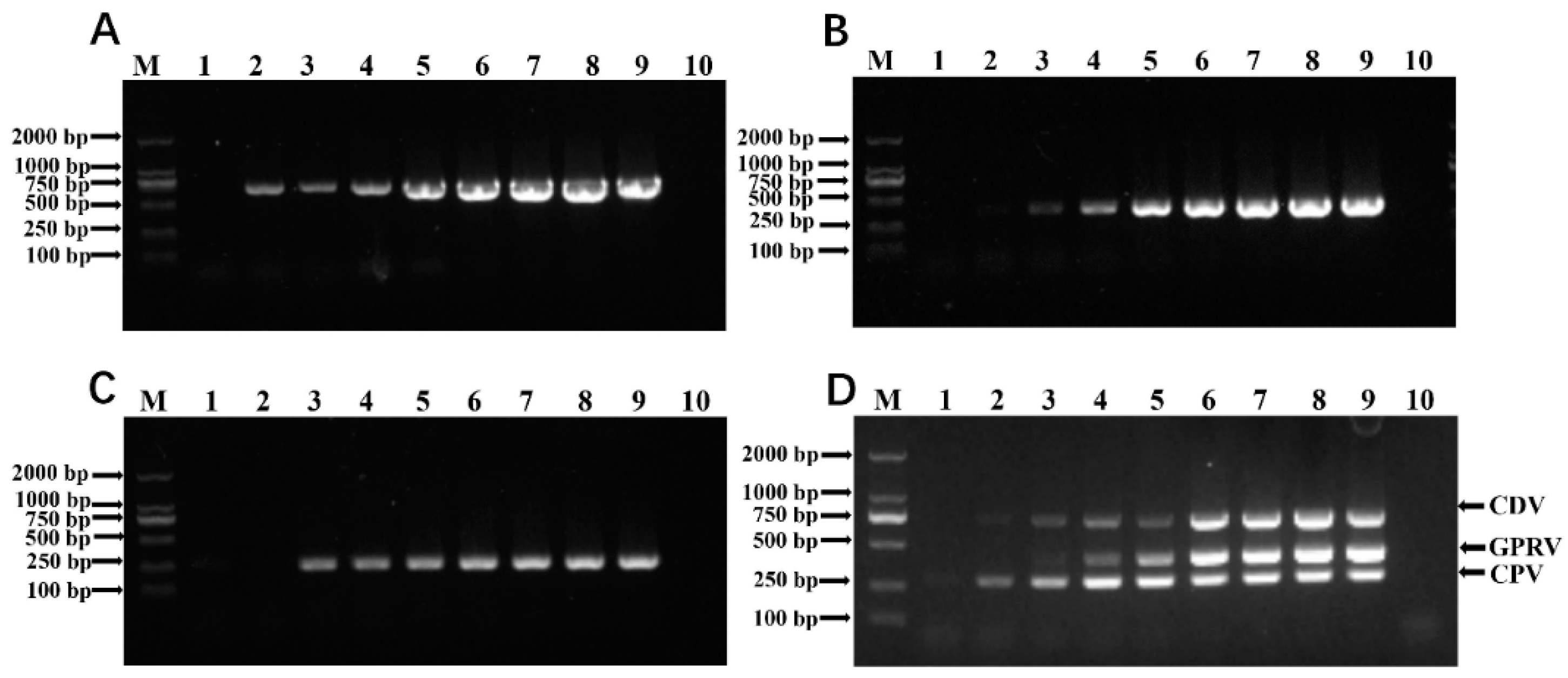 Vetsci 12 00081 g004