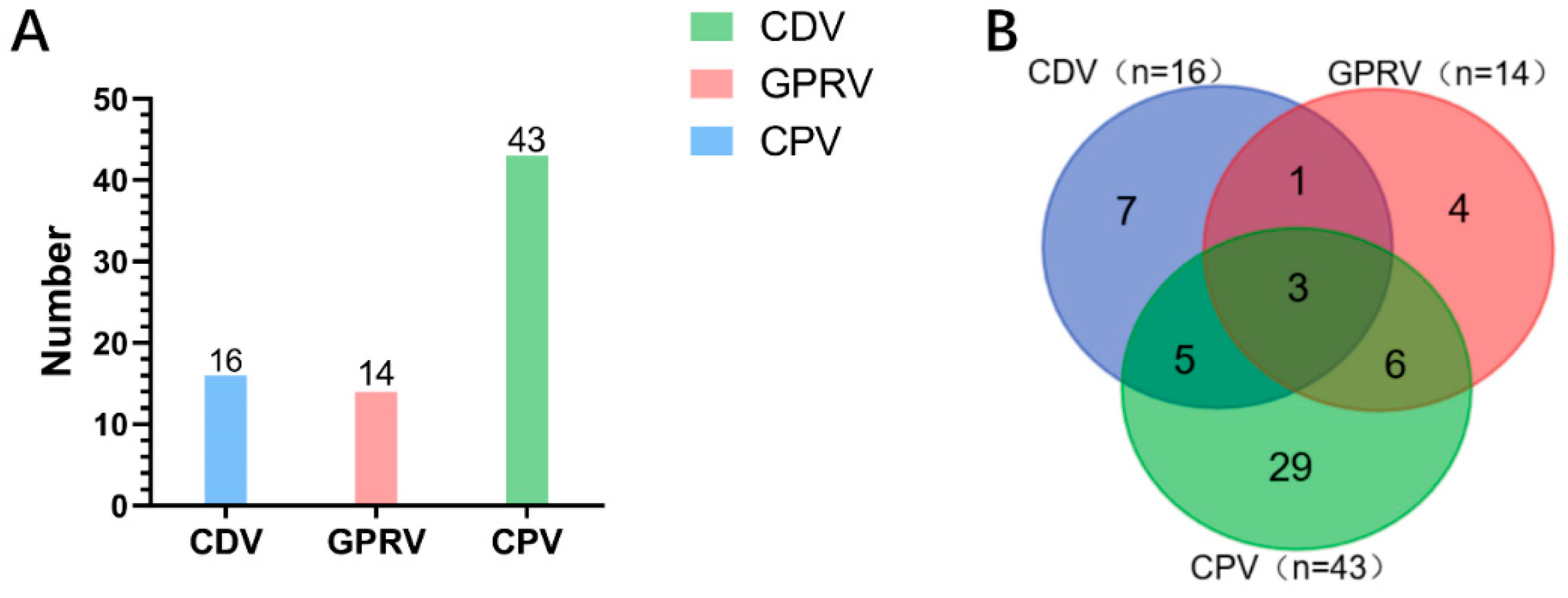 Vetsci 12 00081 g005