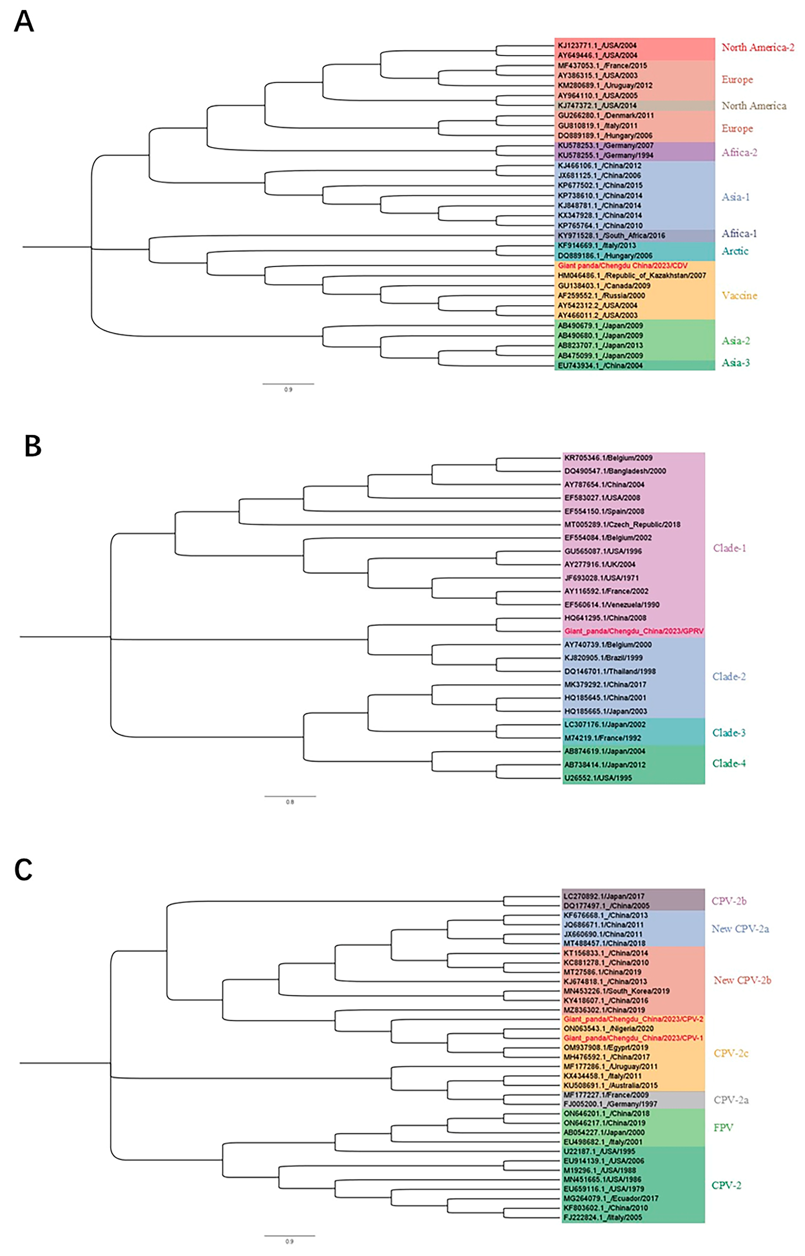 Vetsci 12 00081 g006