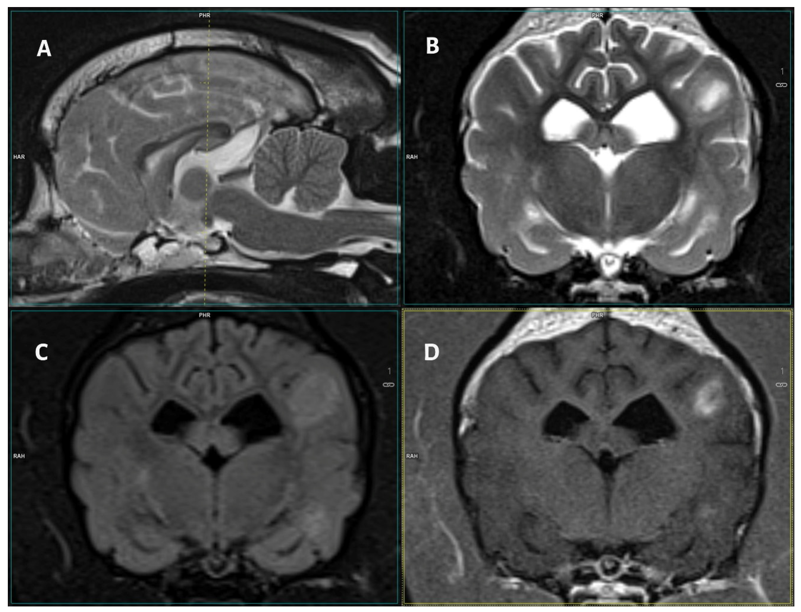 Vetsci 12 00083 g002
