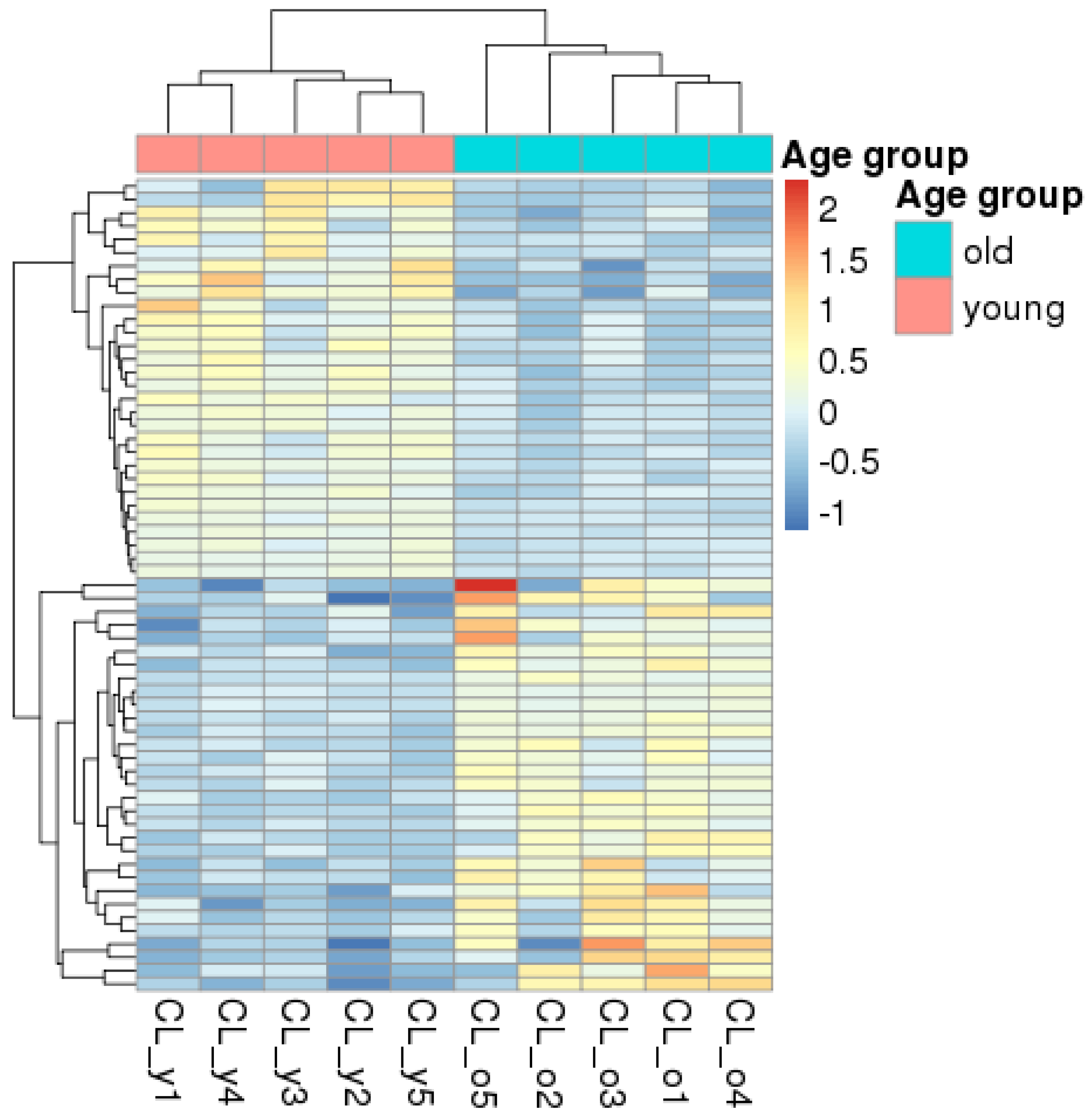 Vetsci 12 00086 g003