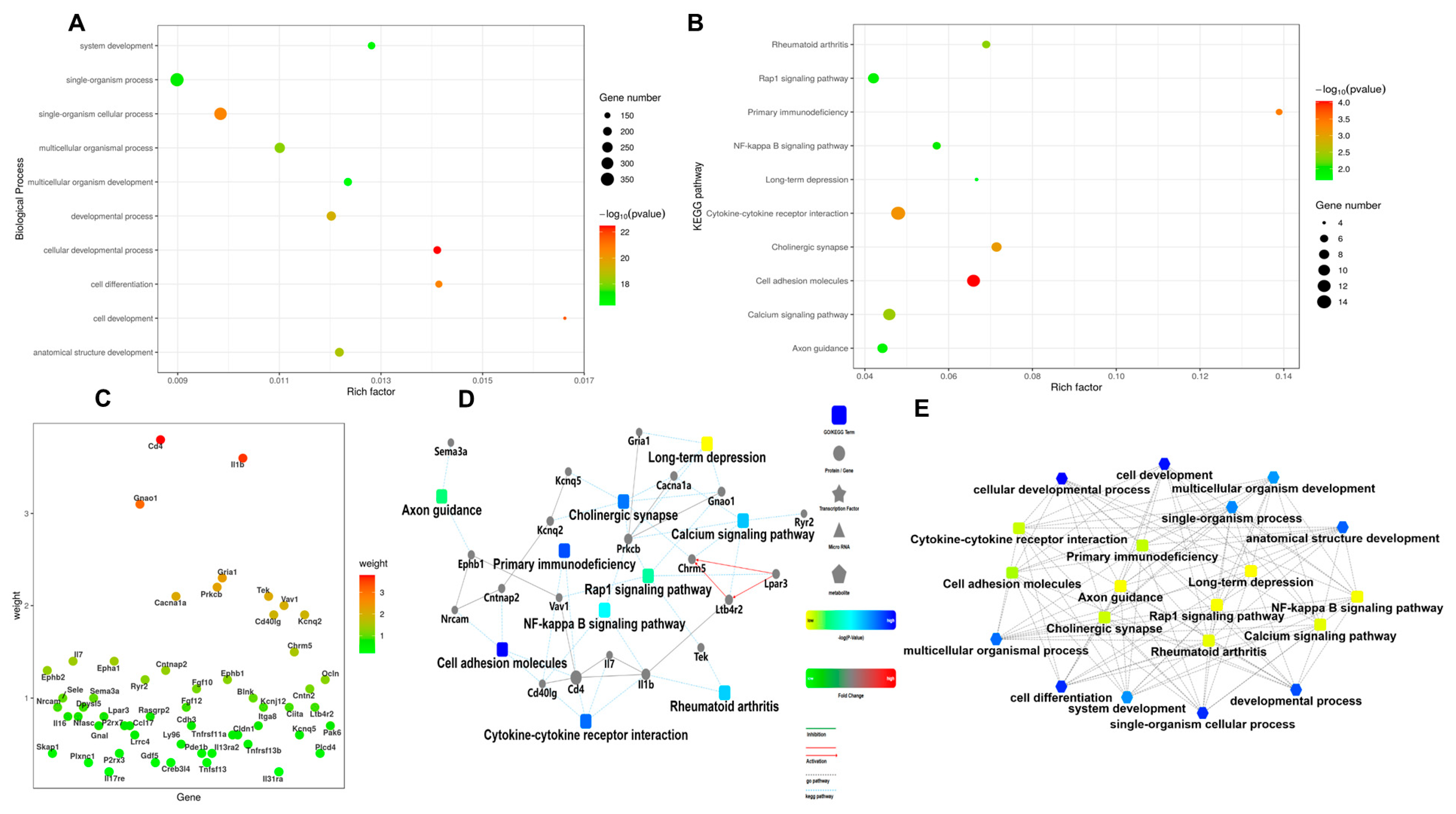 Vetsci 12 00087 g002
