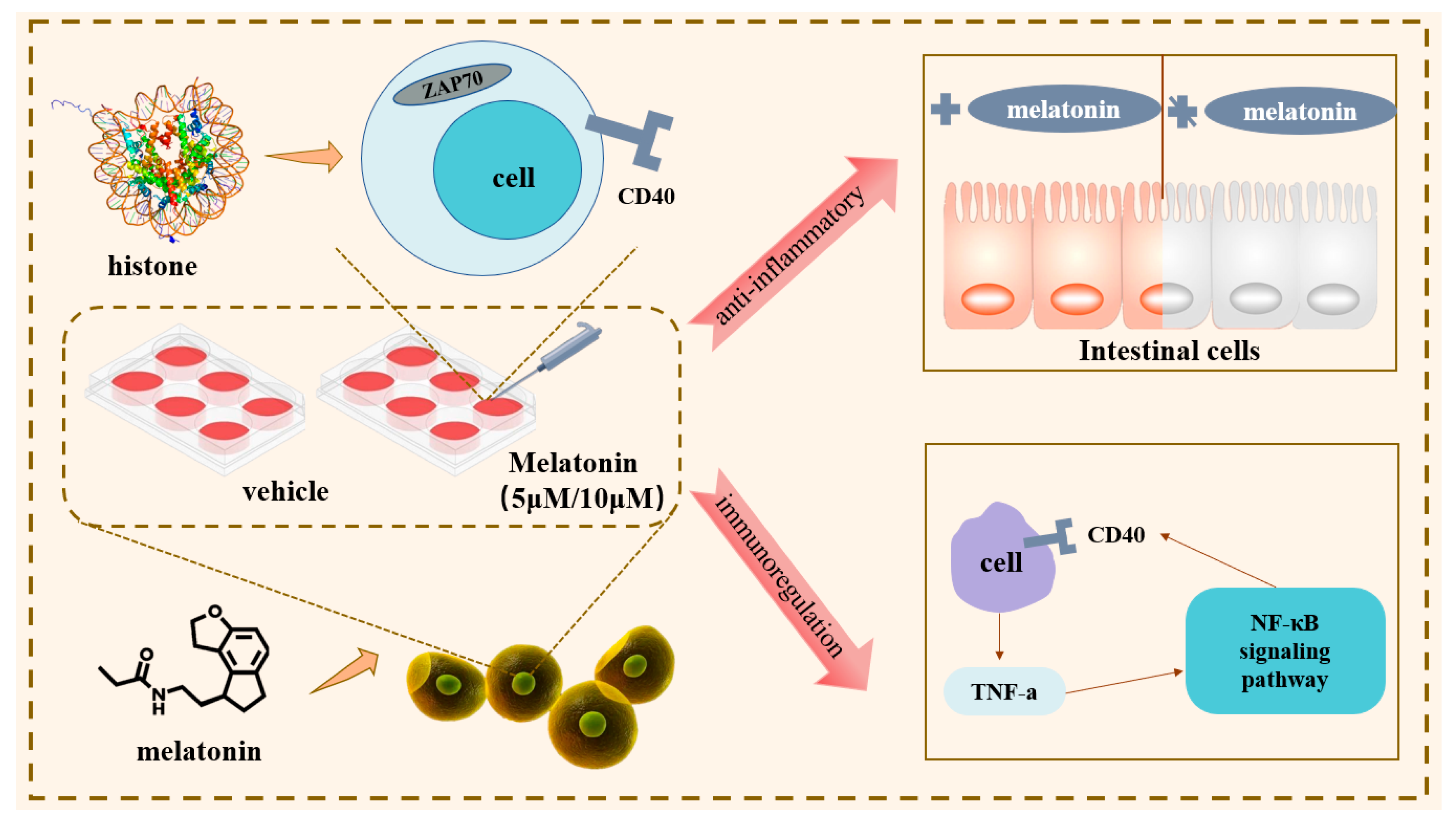 Vetsci 12 00087 g005