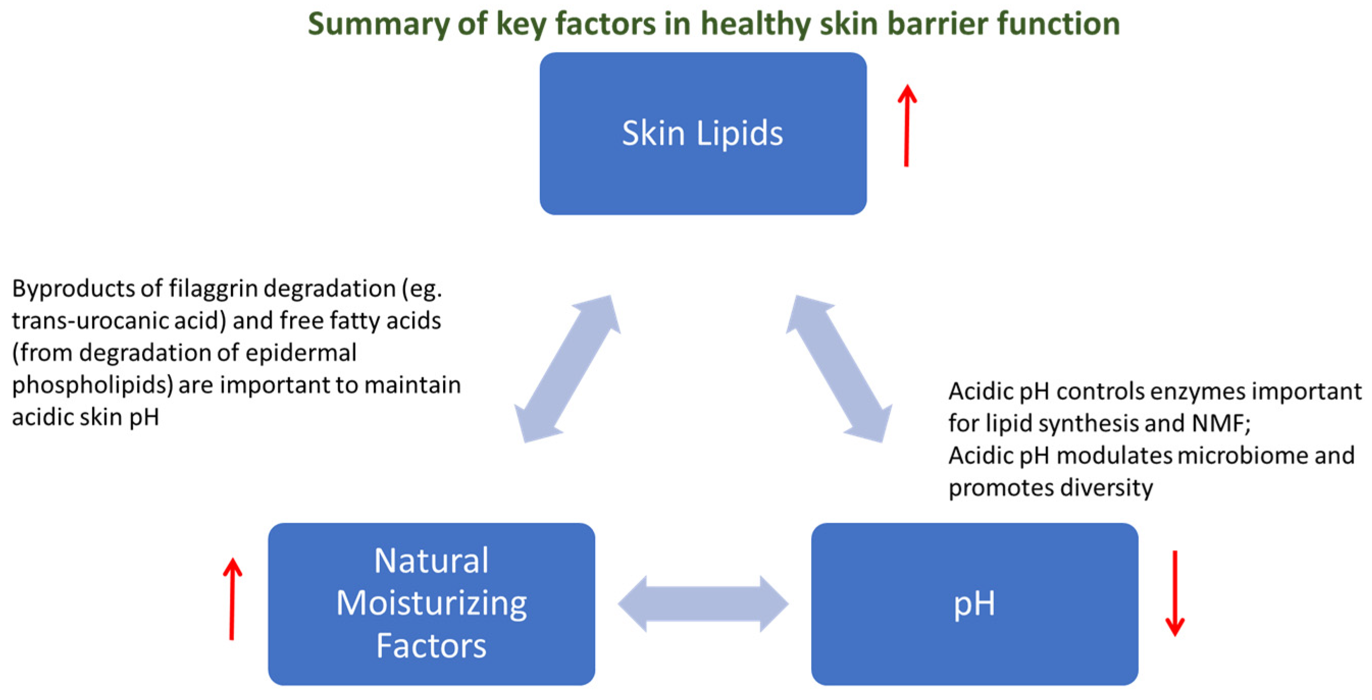 Vetsci 12 00091 g001 Vetsci 12 00091 g001