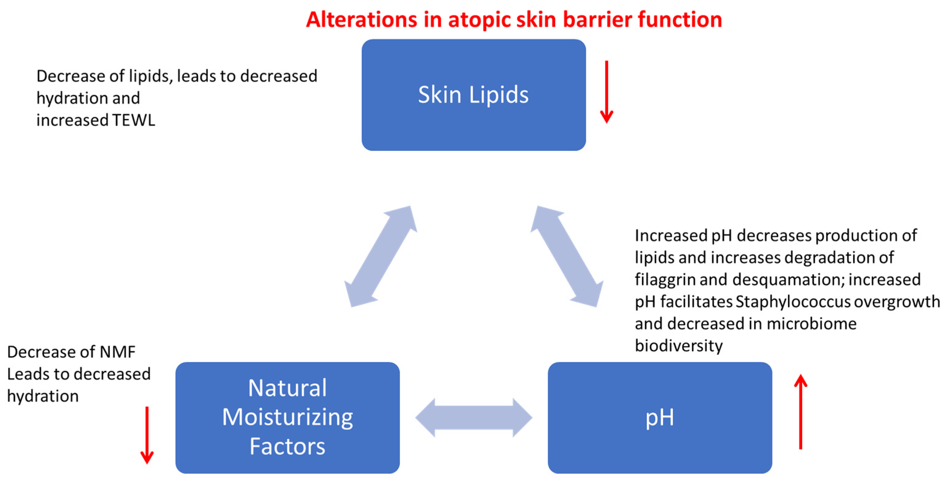 Vetsci 12 00091 g002 Vetsci 12 00091 g002