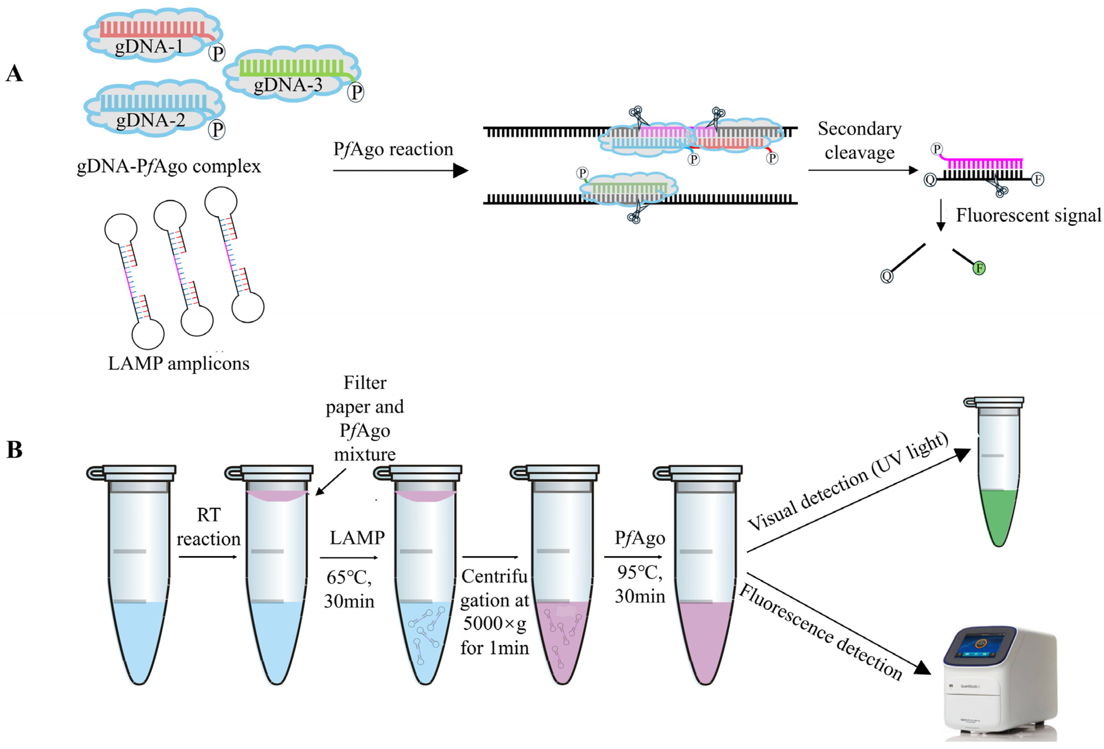 Vetsci 12 00093 g001