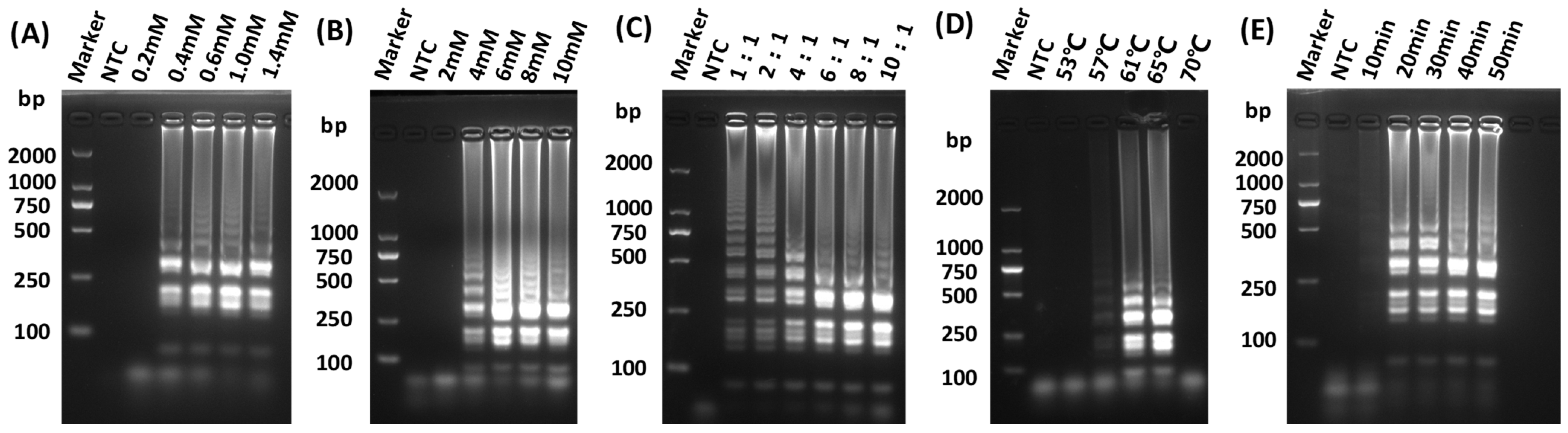 Vetsci 12 00093 g002