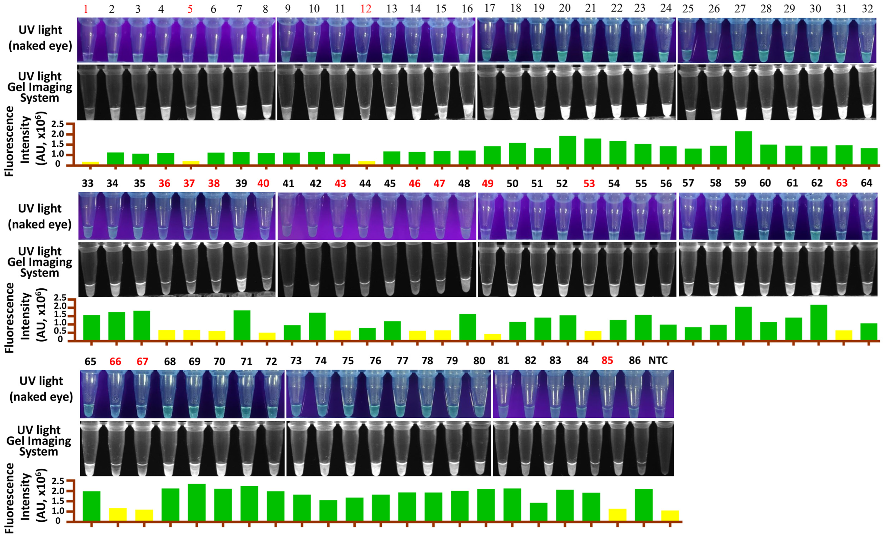 Vetsci 12 00093 g005