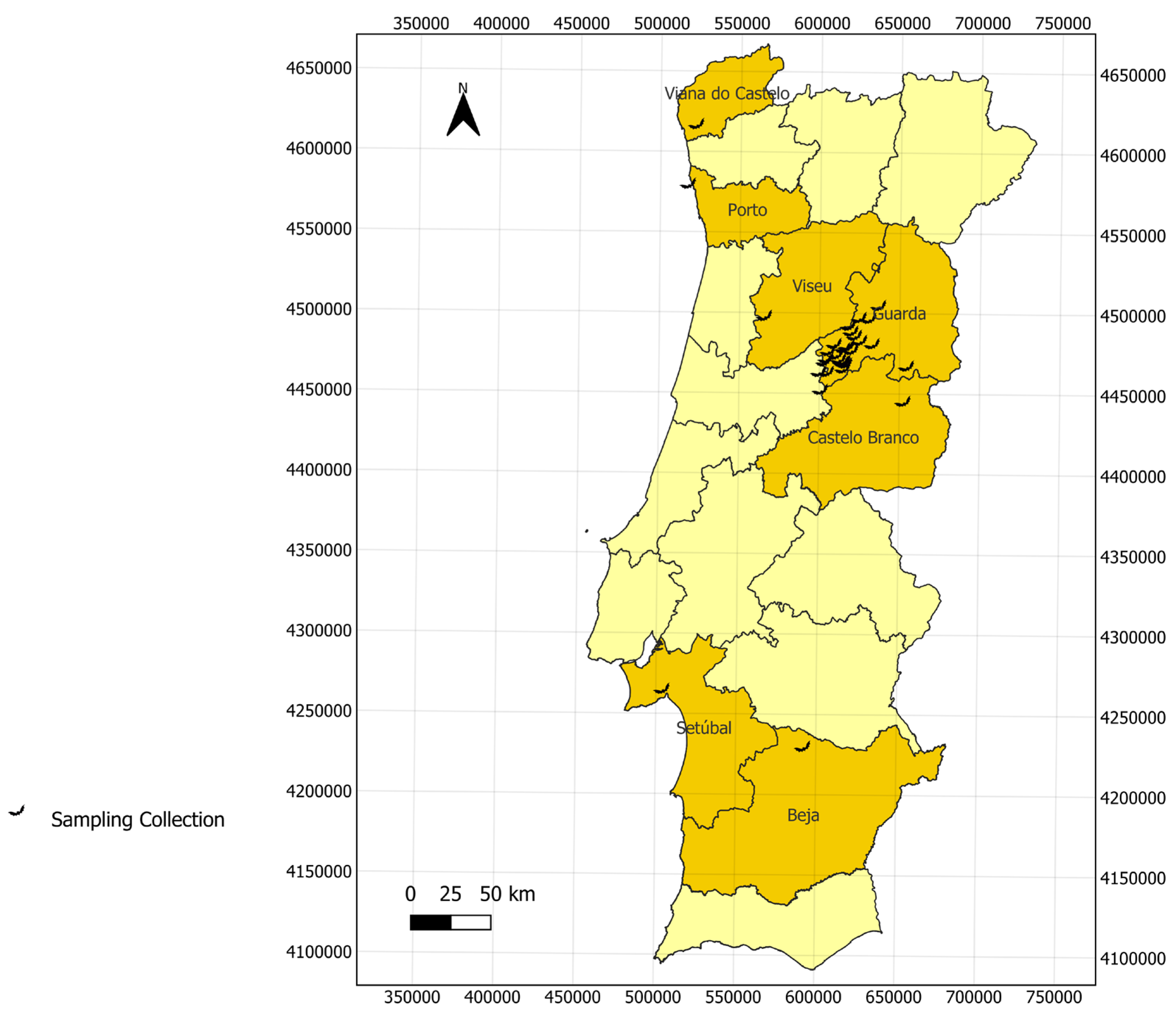Vetsci 12 00094 g001
