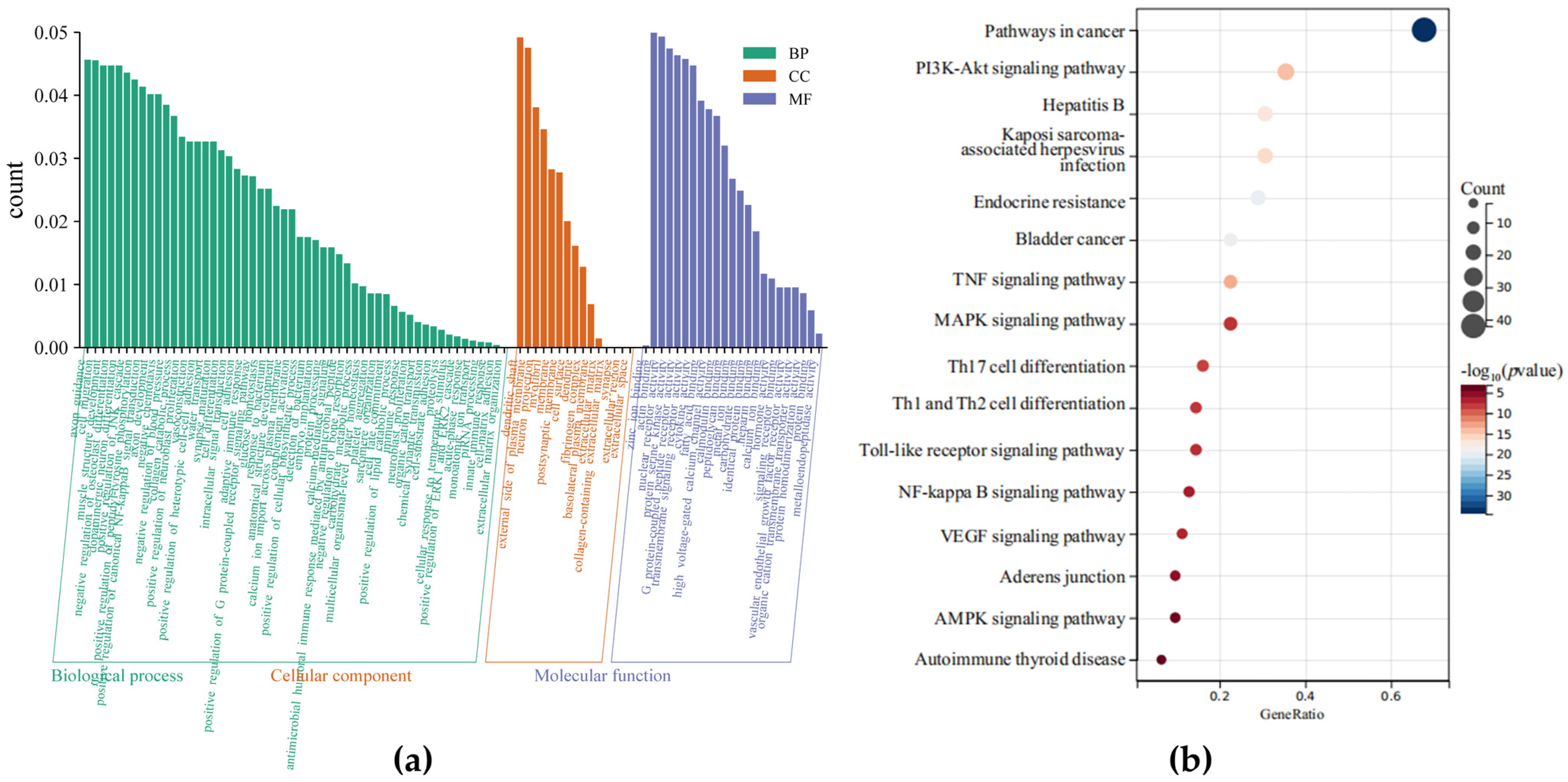 Vetsci 12 00096 g001 Vetsci 12 00096 g001