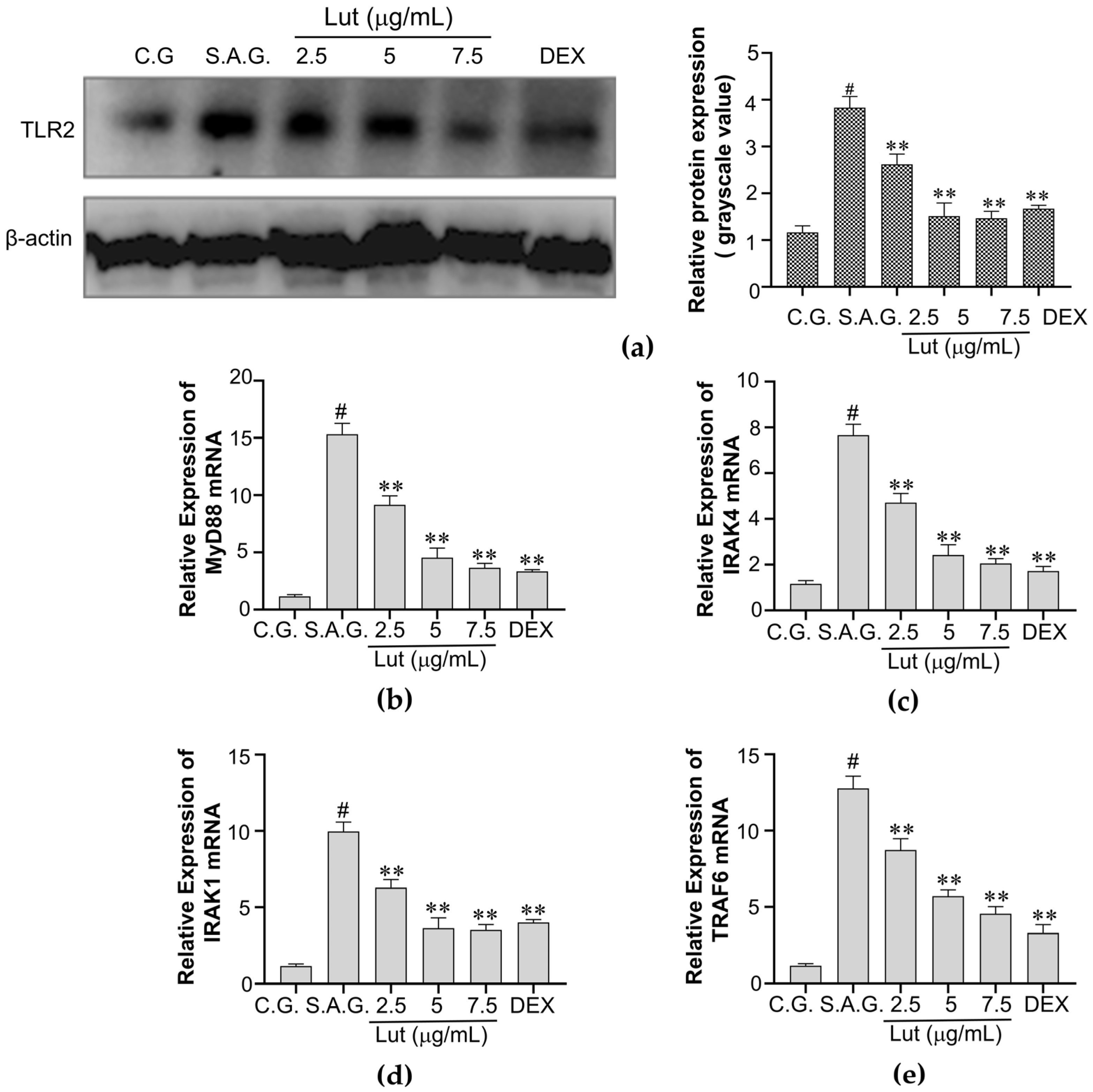Vetsci 12 00096 g005 Vetsci 12 00096 g005