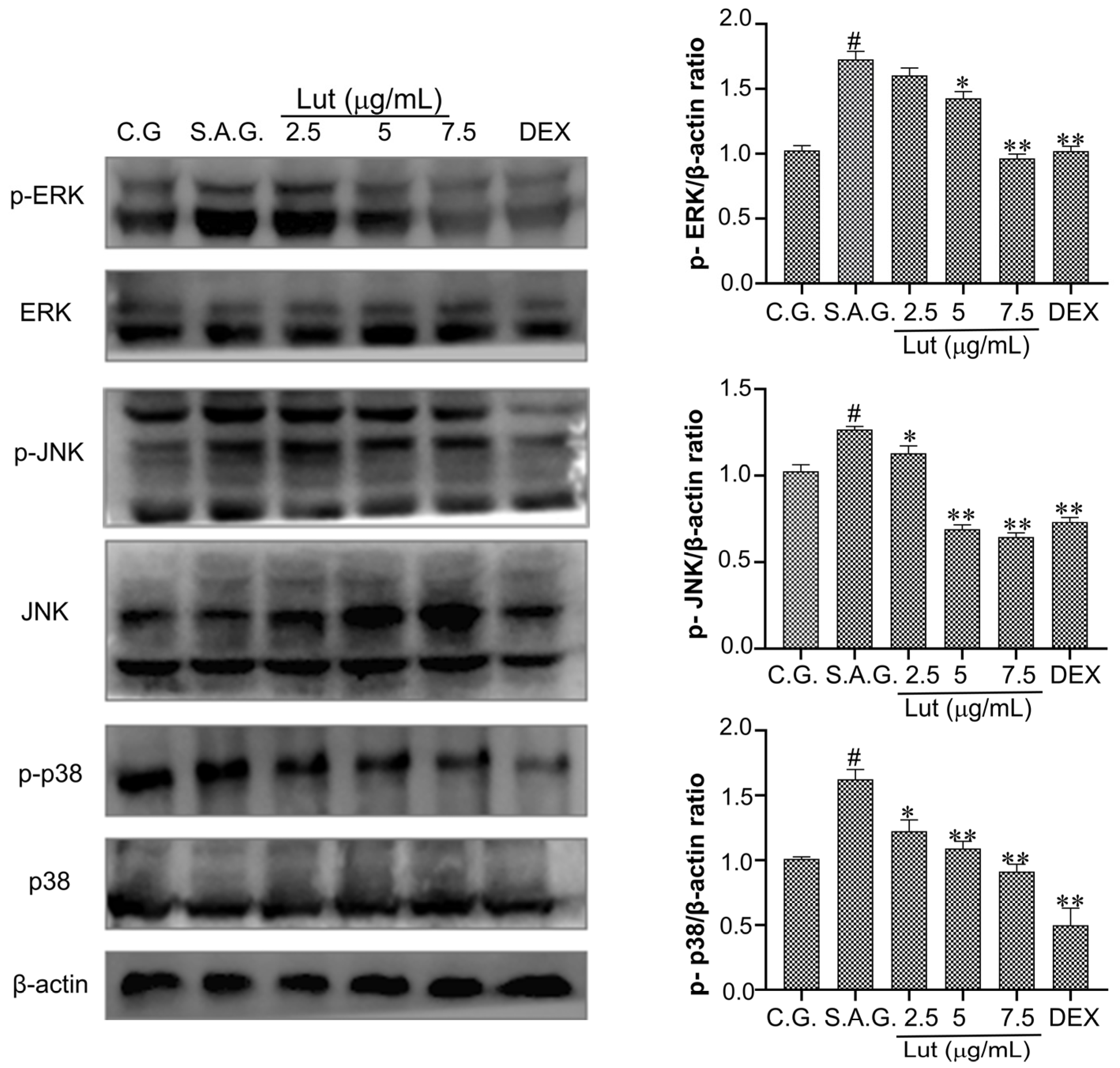 Vetsci 12 00096 g007 Vetsci 12 00096 g007