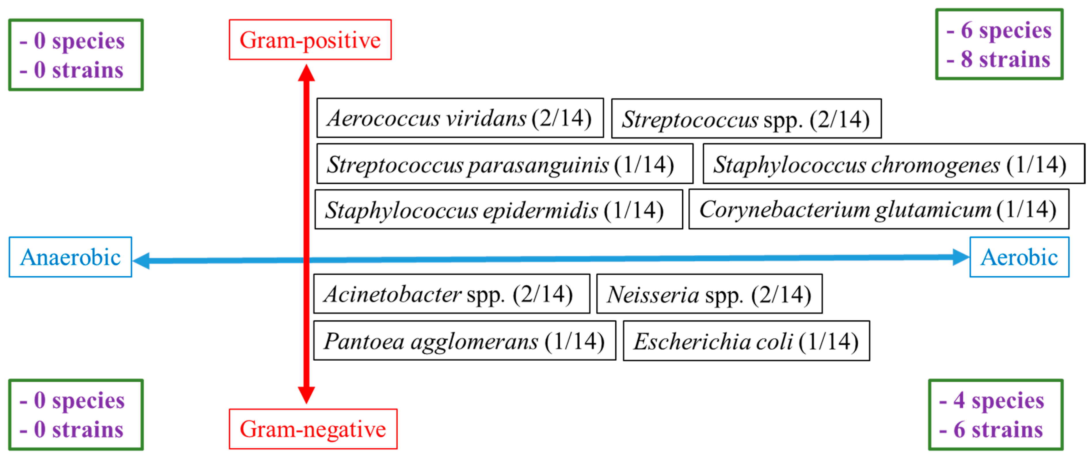 Vetsci 12 00098 g001 Vetsci 12 00098 g001