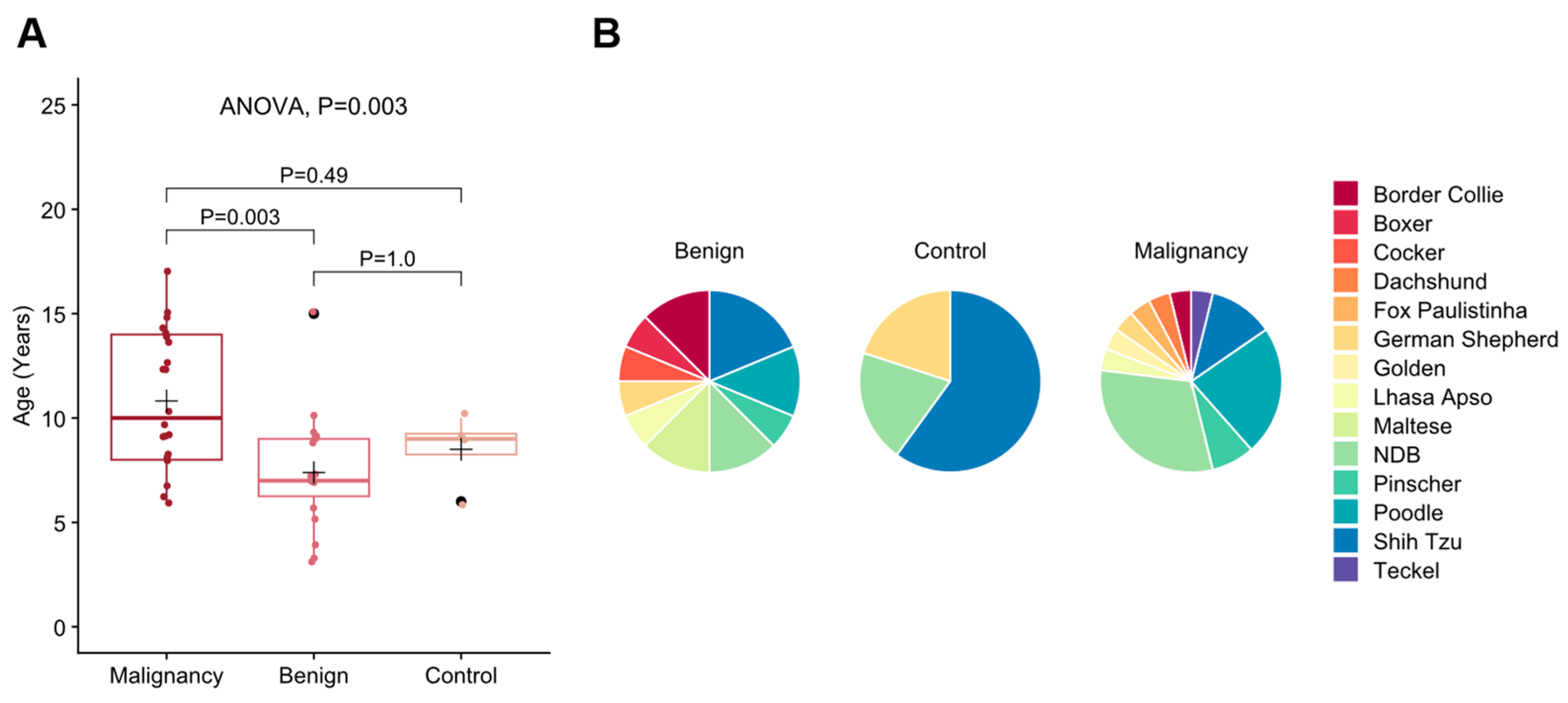Vetsci 12 00110 g002