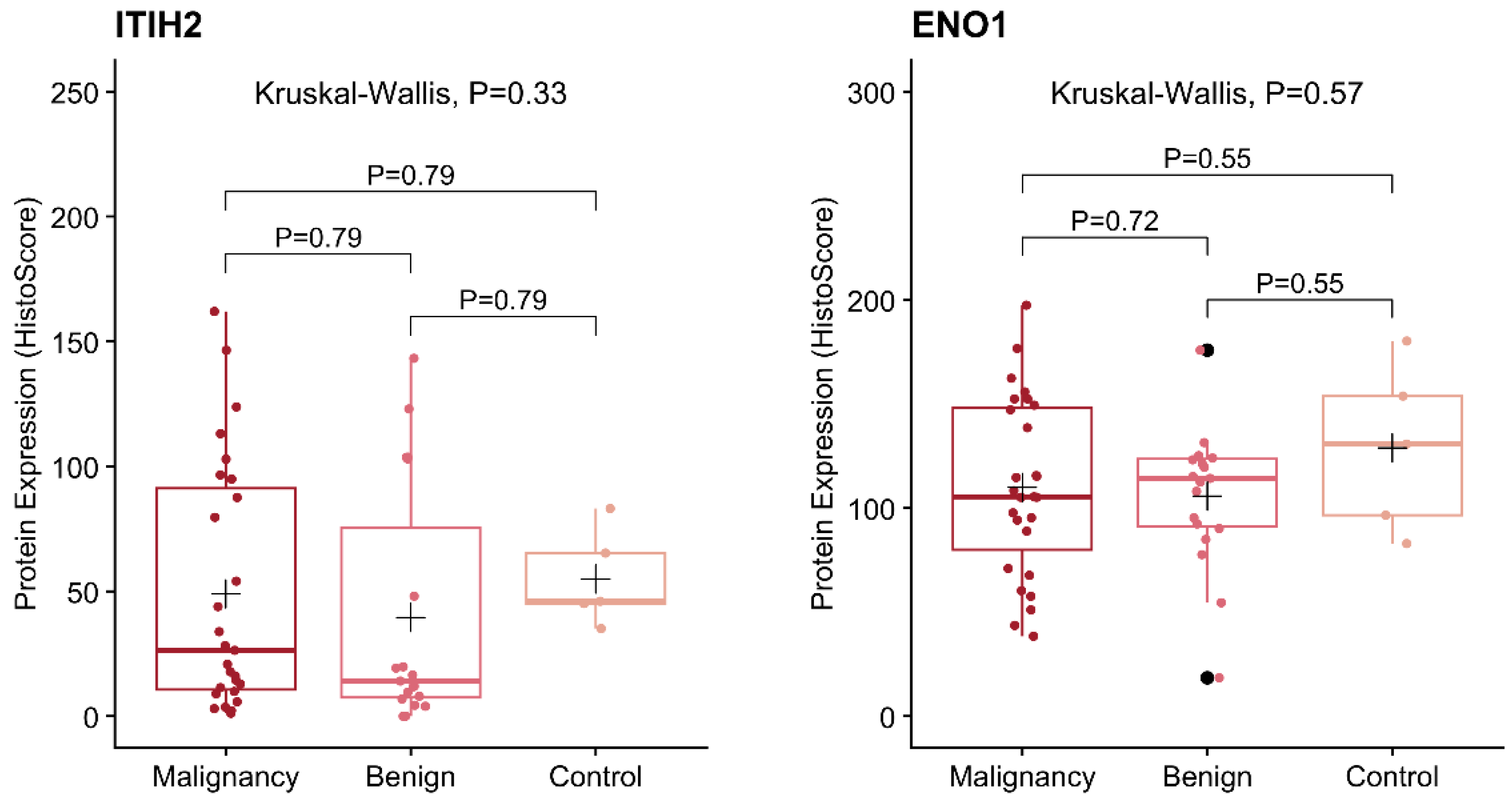 Vetsci 12 00110 g005