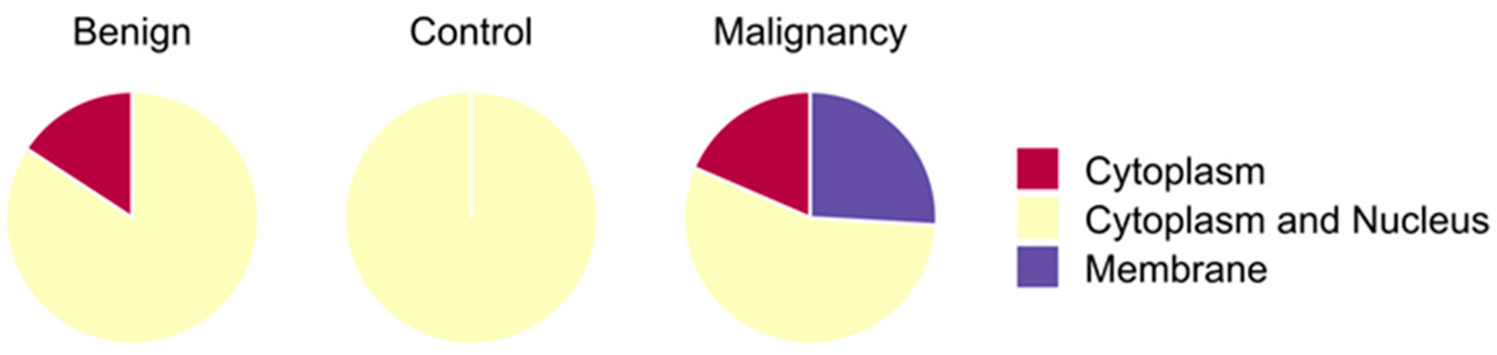 Vetsci 12 00110 g006