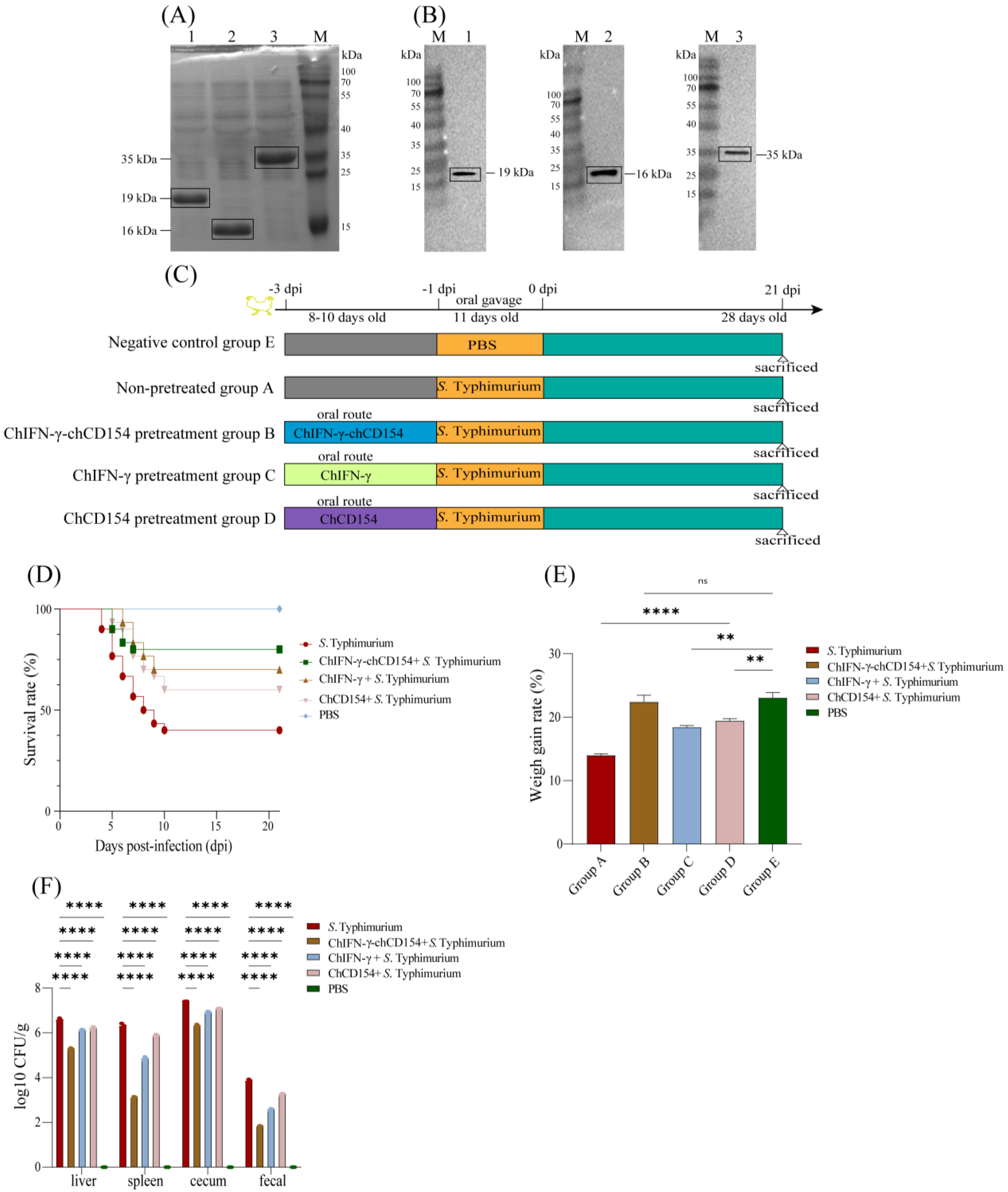 Vetsci 12 00112 g001