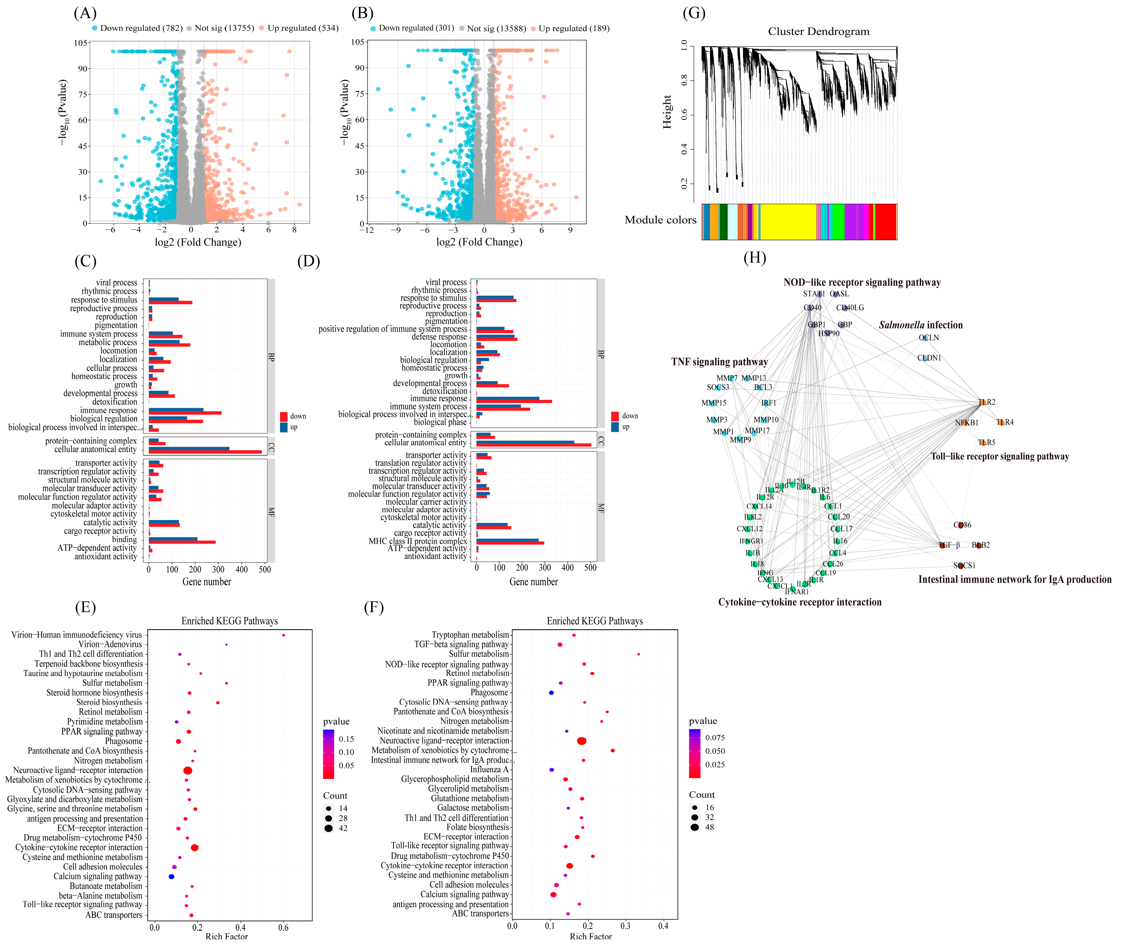 Vetsci 12 00112 g004