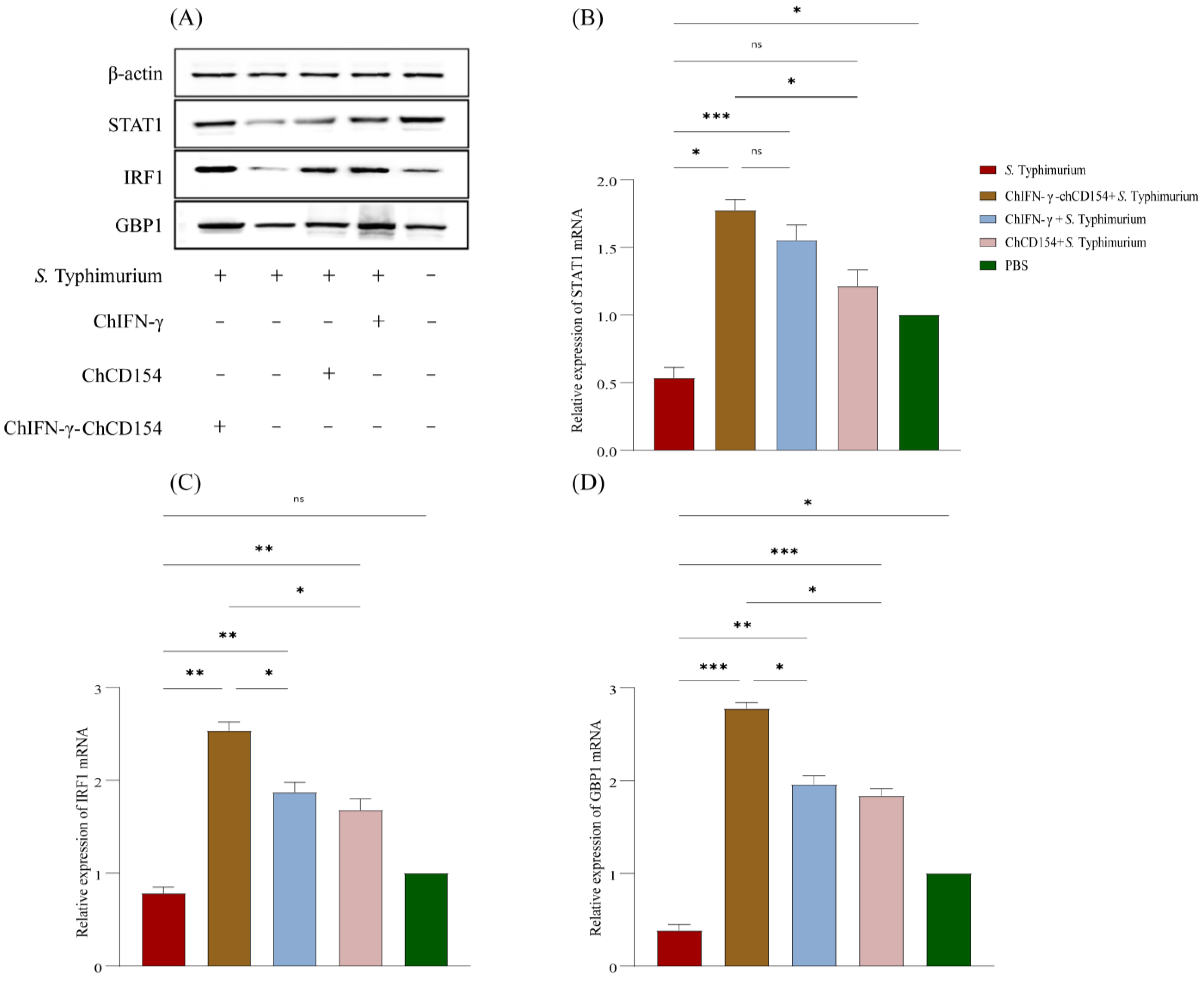 Vetsci 12 00112 g006
