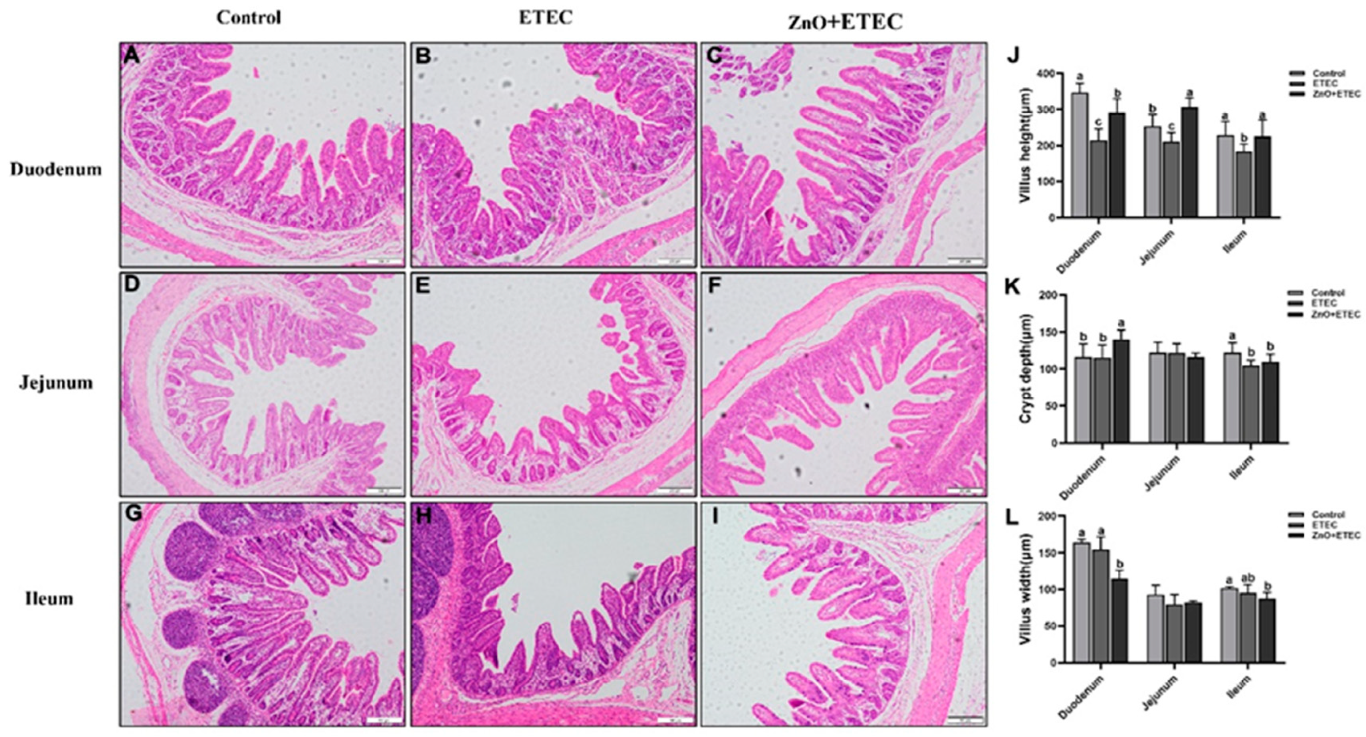 Vetsci 12 00115 g003