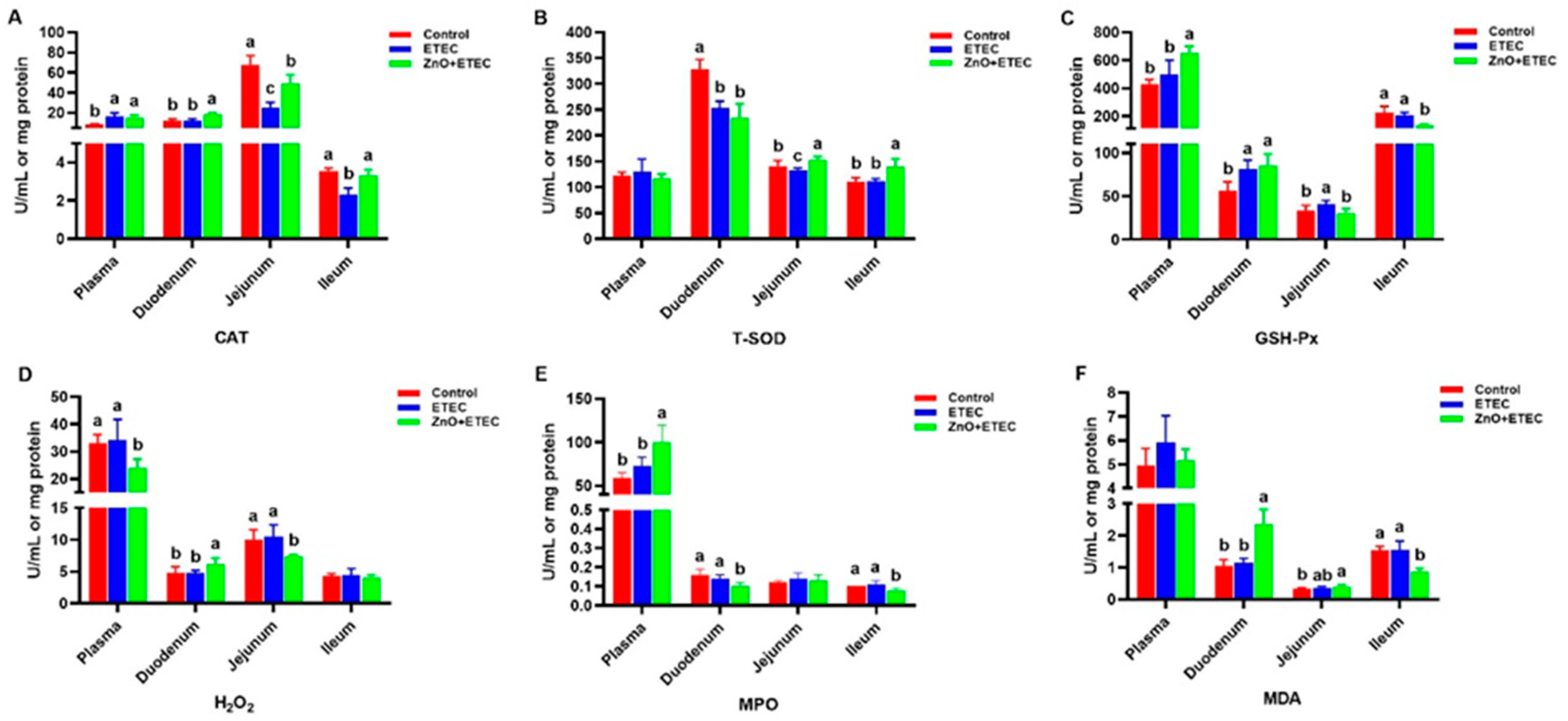 Vetsci 12 00115 g004