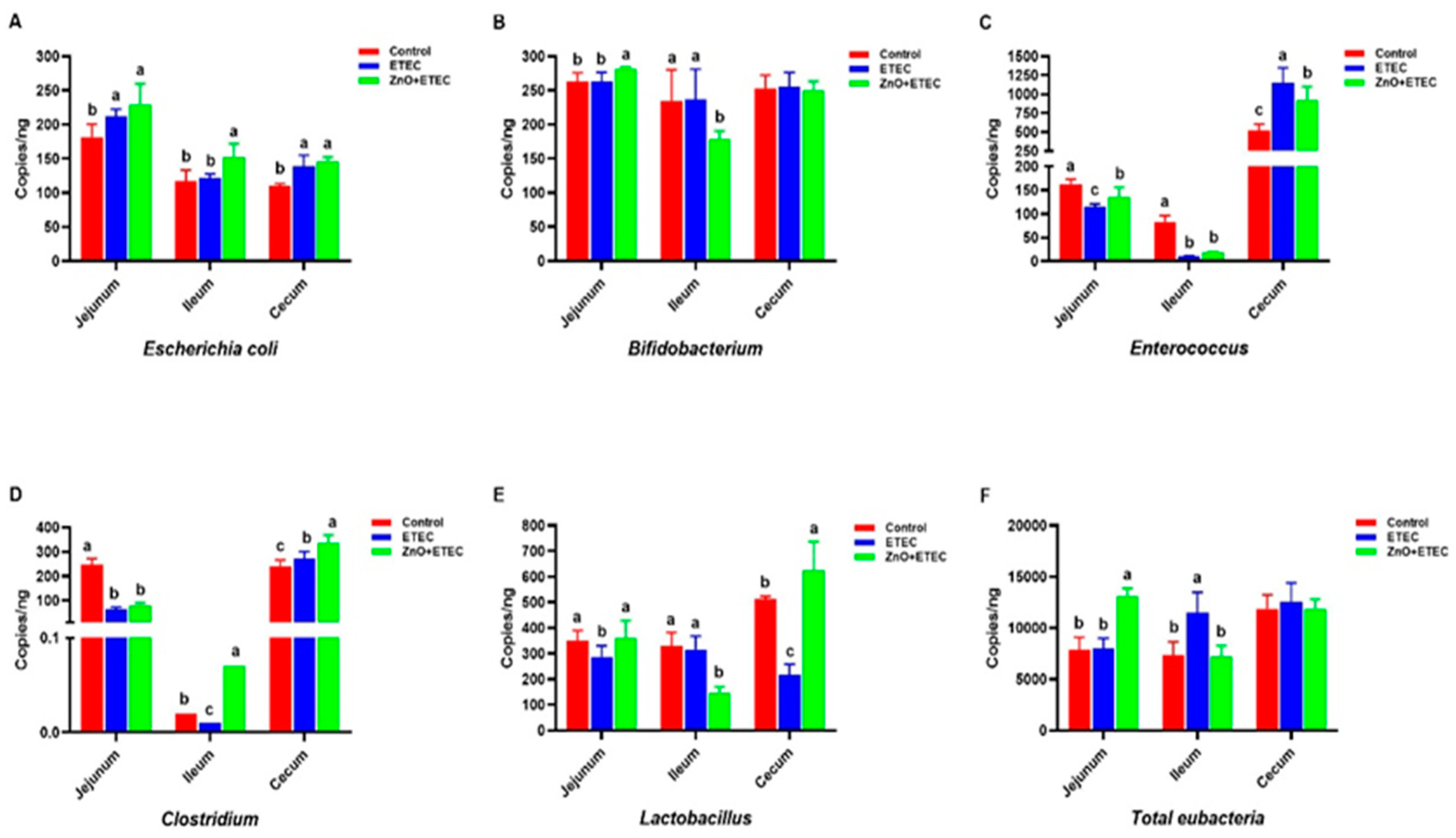 Vetsci 12 00115 g007