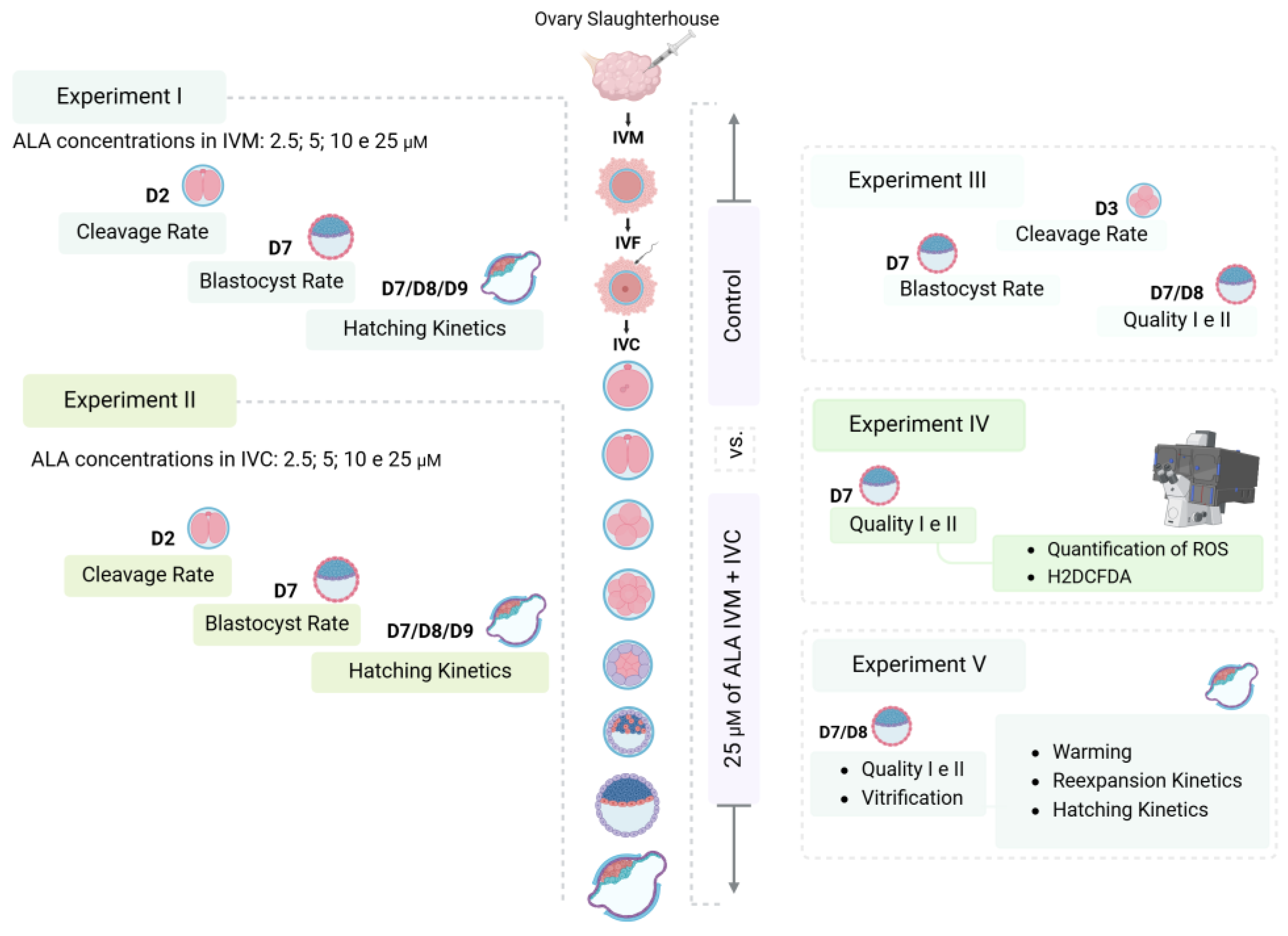 Vetsci 12 00120 g001 Vetsci 12 00120 g001