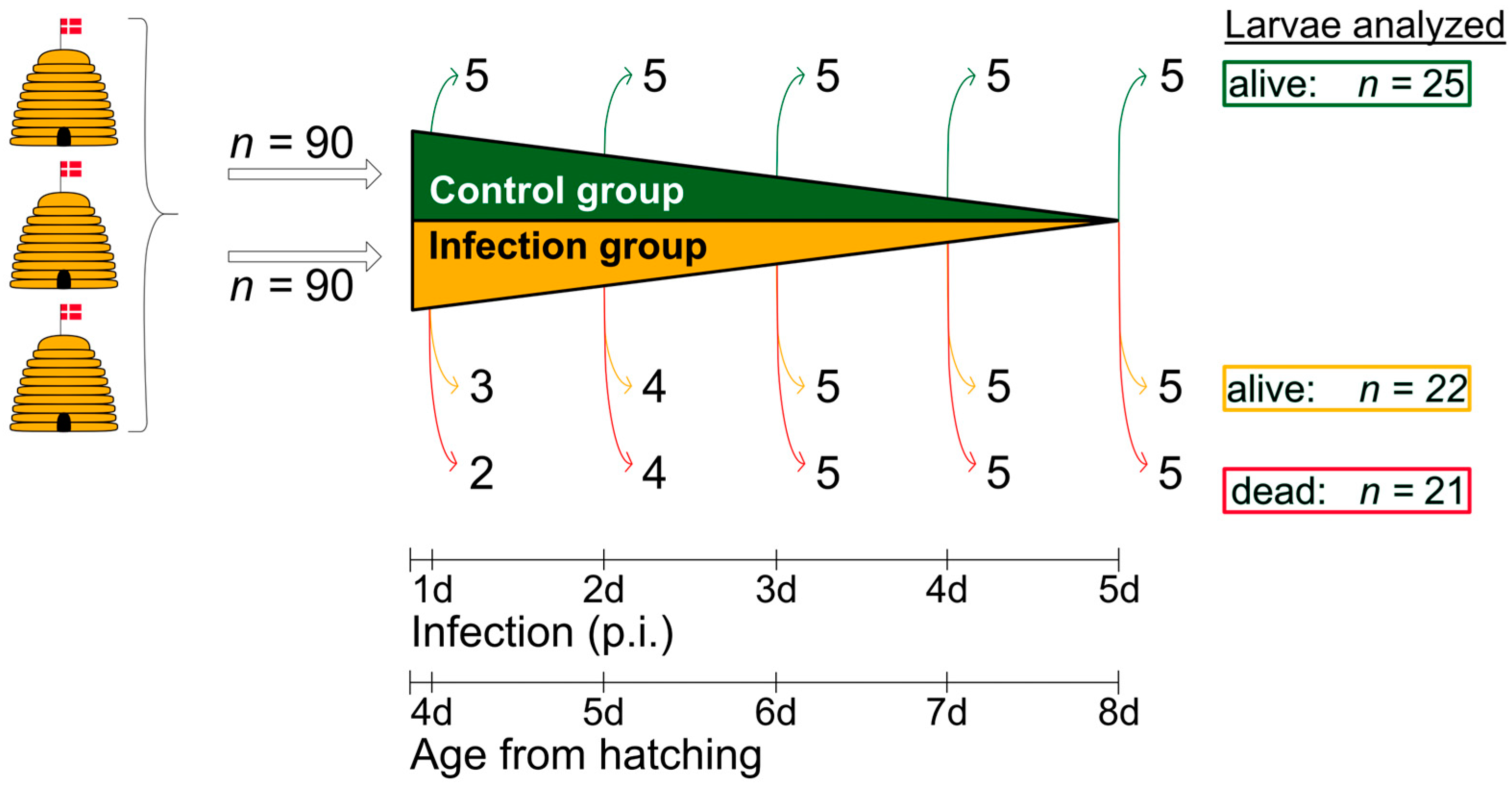 Vetsci 12 00124 g002 Vetsci 12 00124 g002