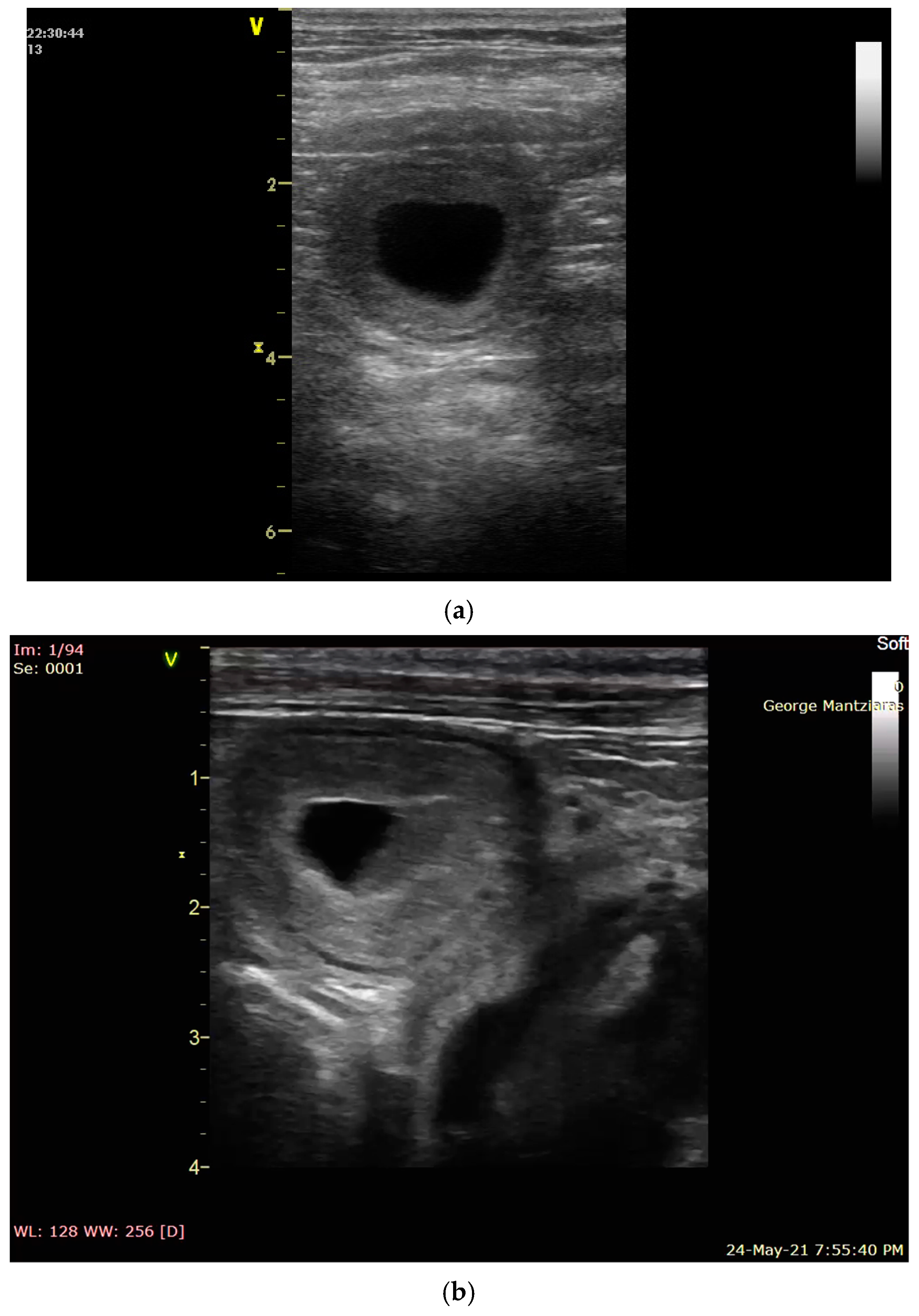 Vetsci 12 00127 g001