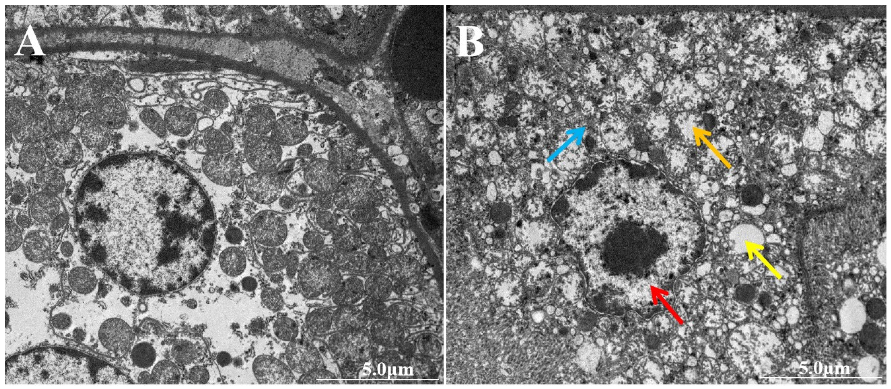 Vetsci 12 00130 g004