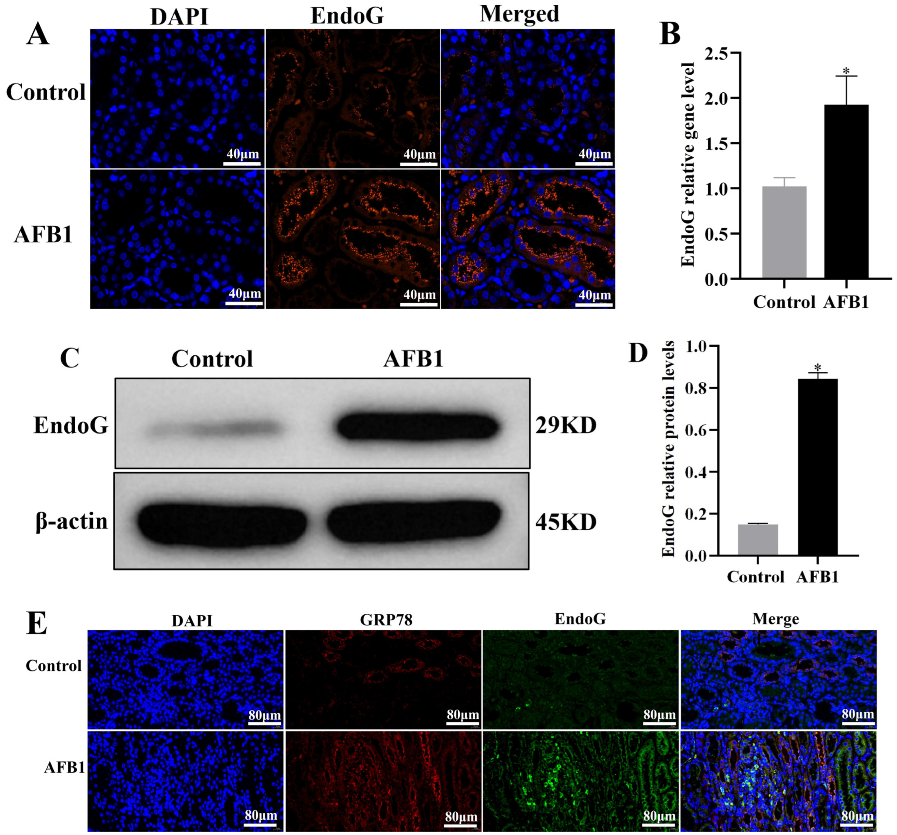Vetsci 12 00130 g006