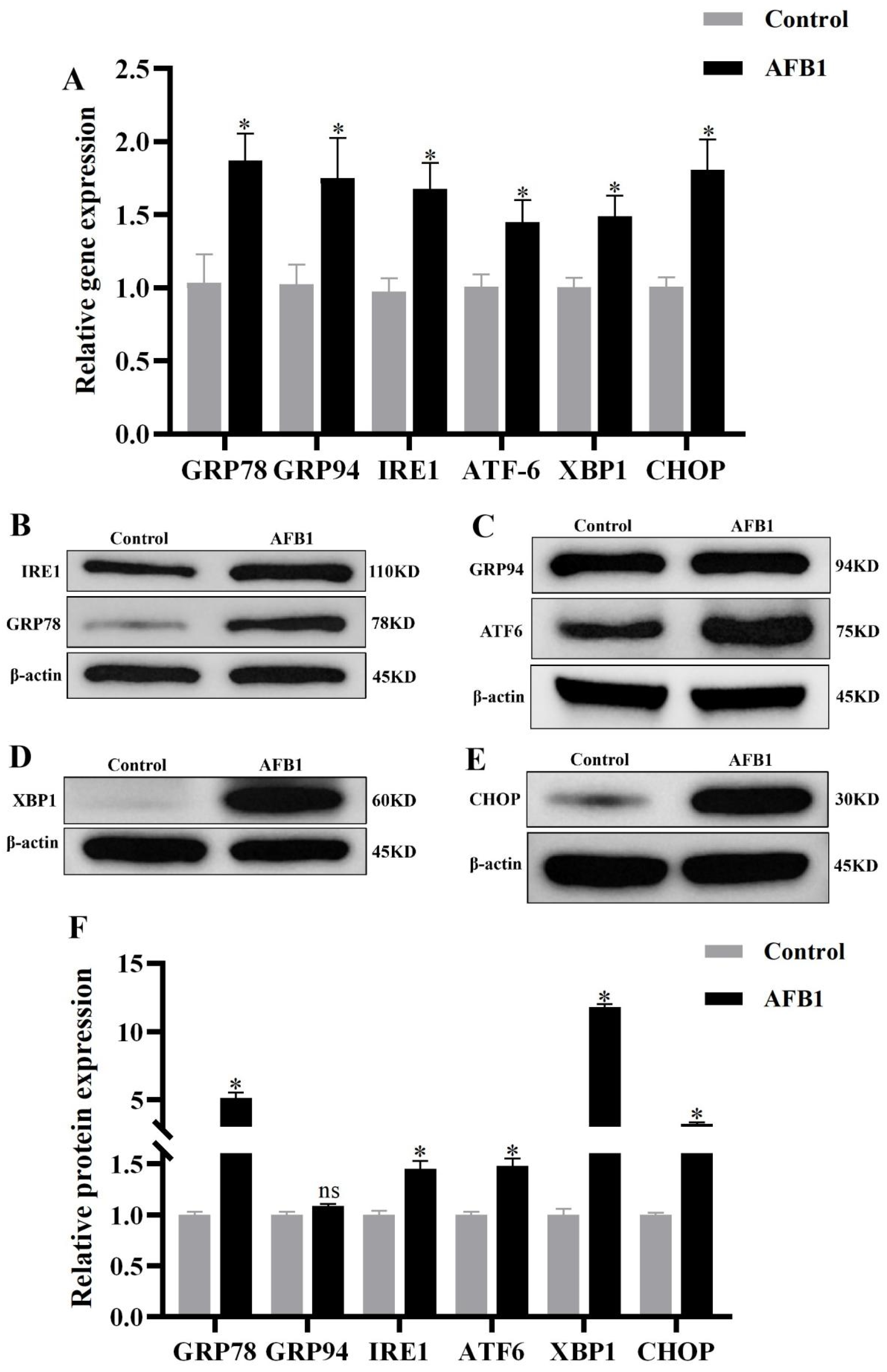 Vetsci 12 00130 g007