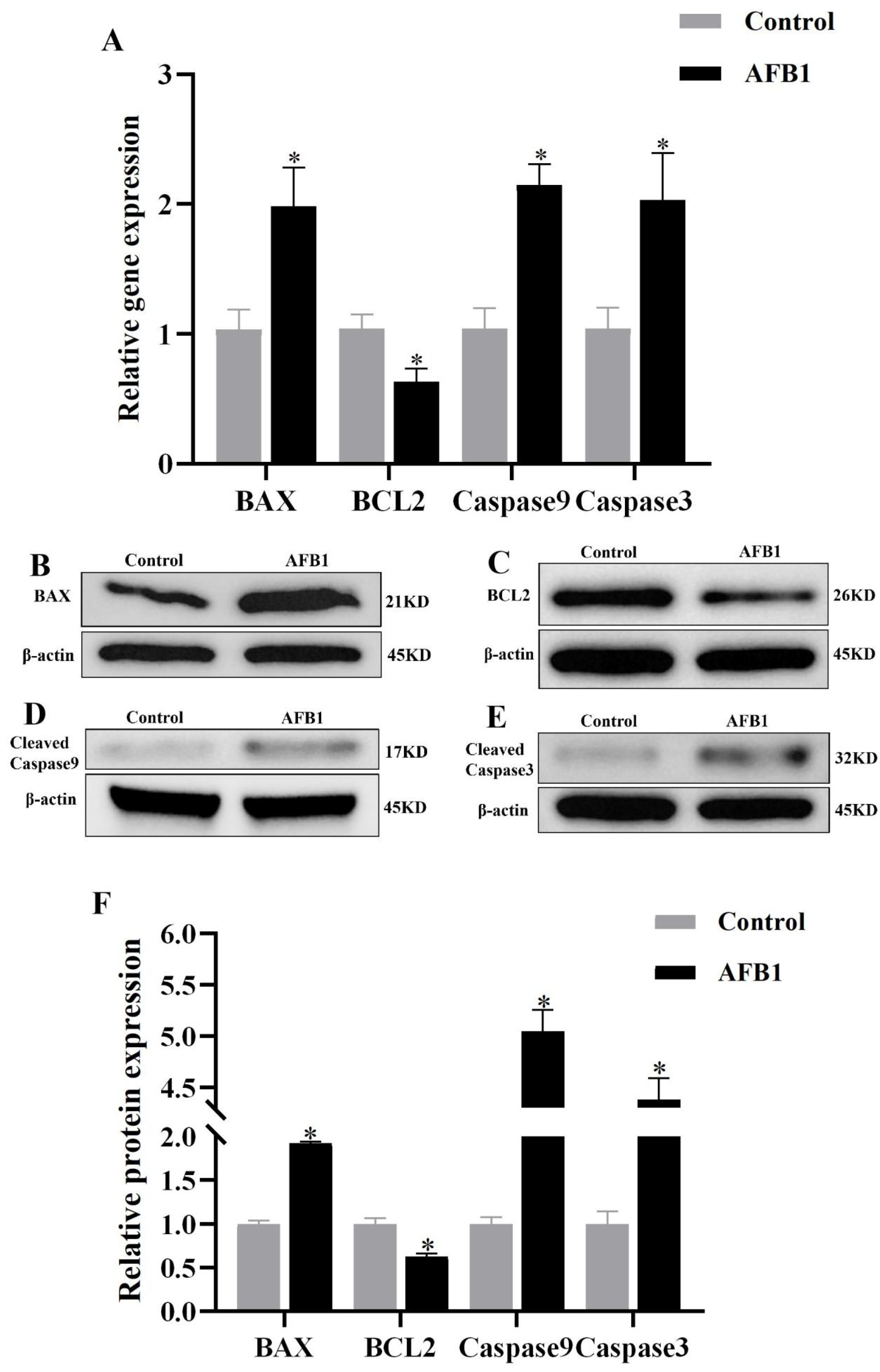 Vetsci 12 00130 g008