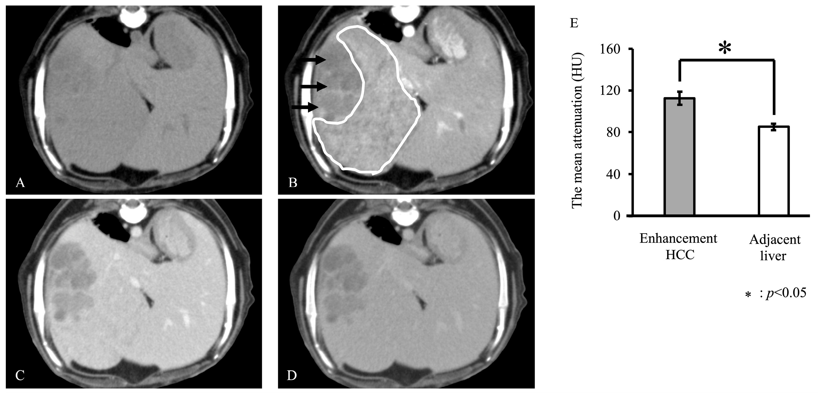 Vetsci 12 00137 g001
