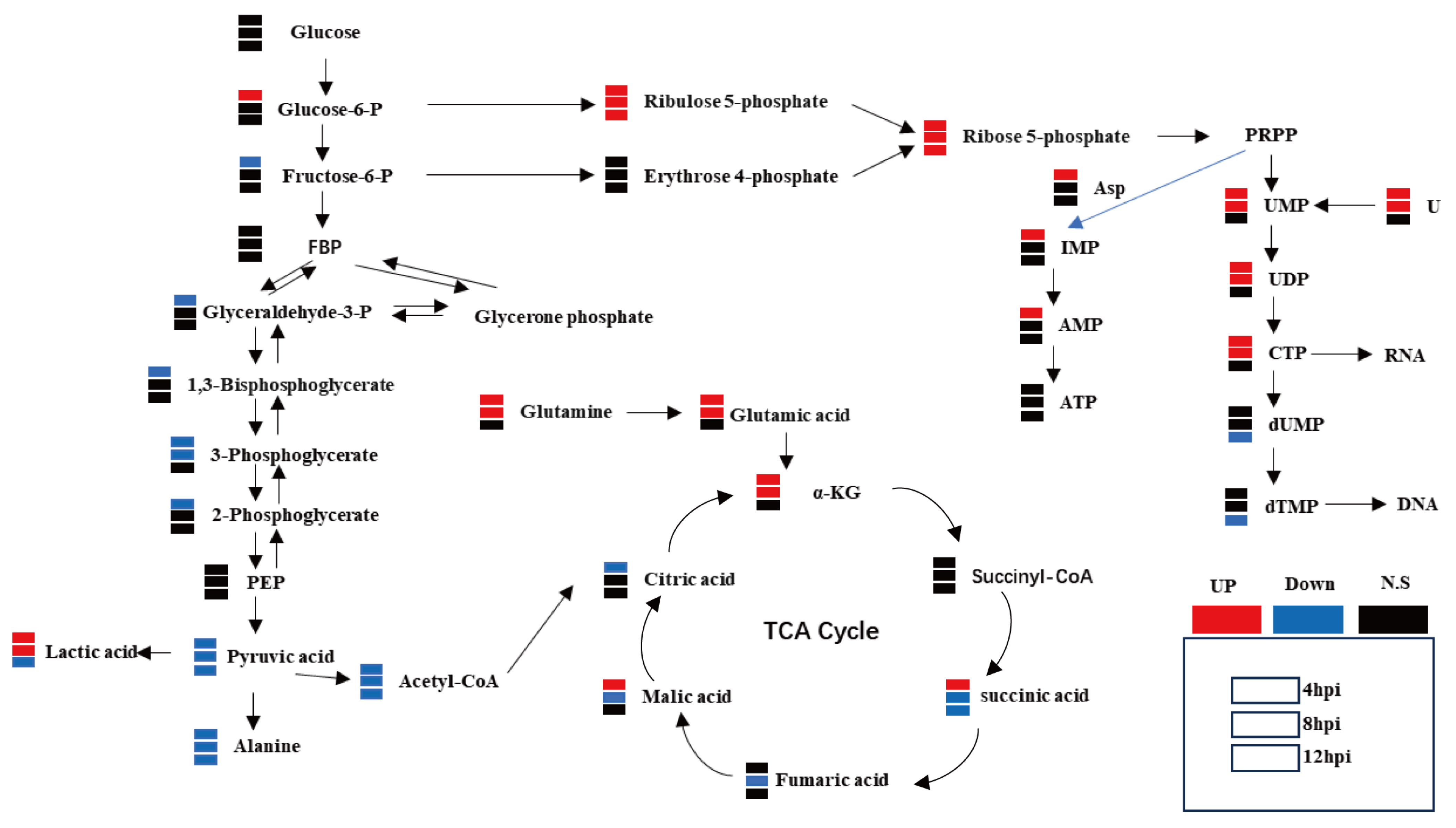 Vetsci 12 00138 g002