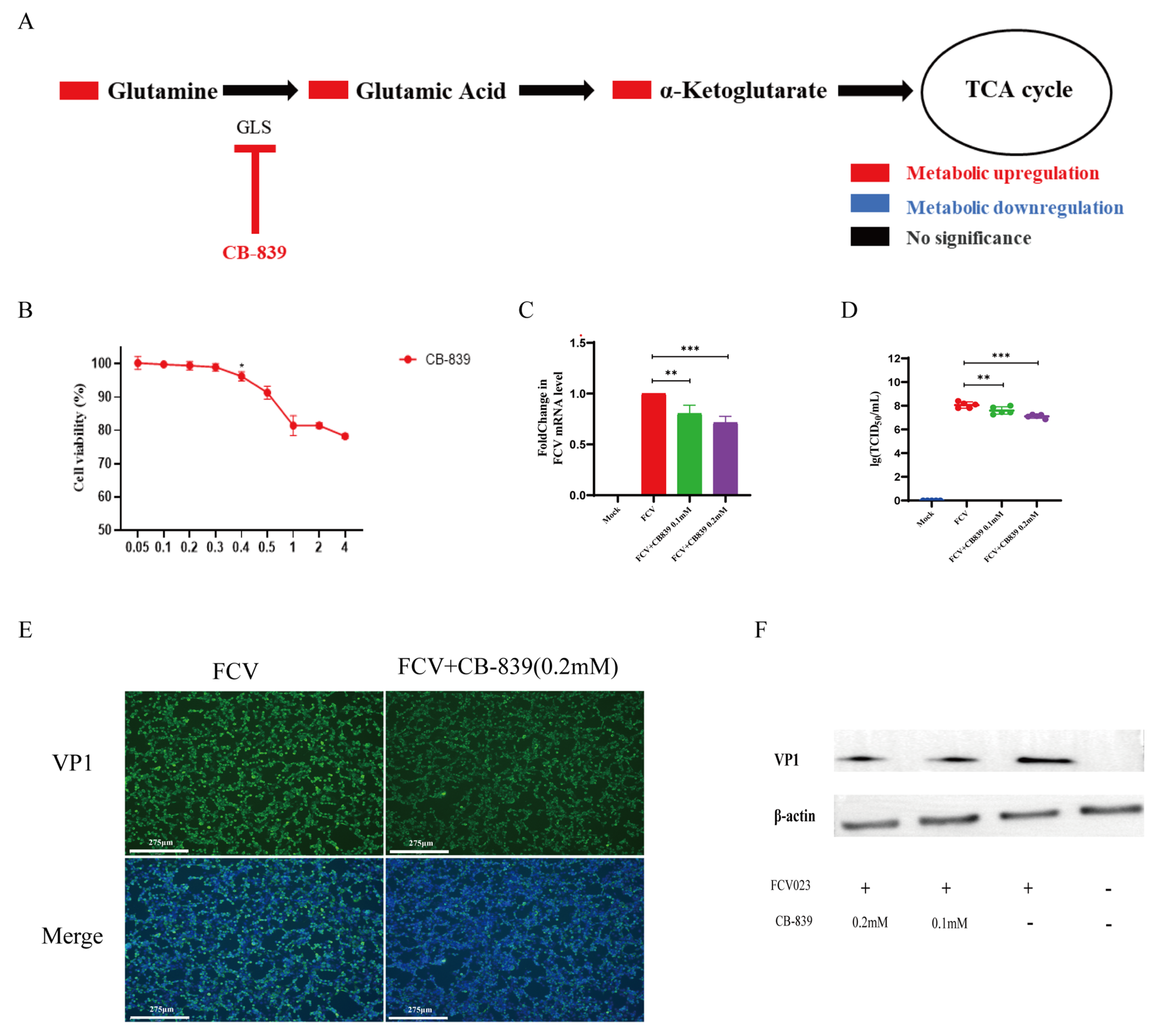 Vetsci 12 00138 g005