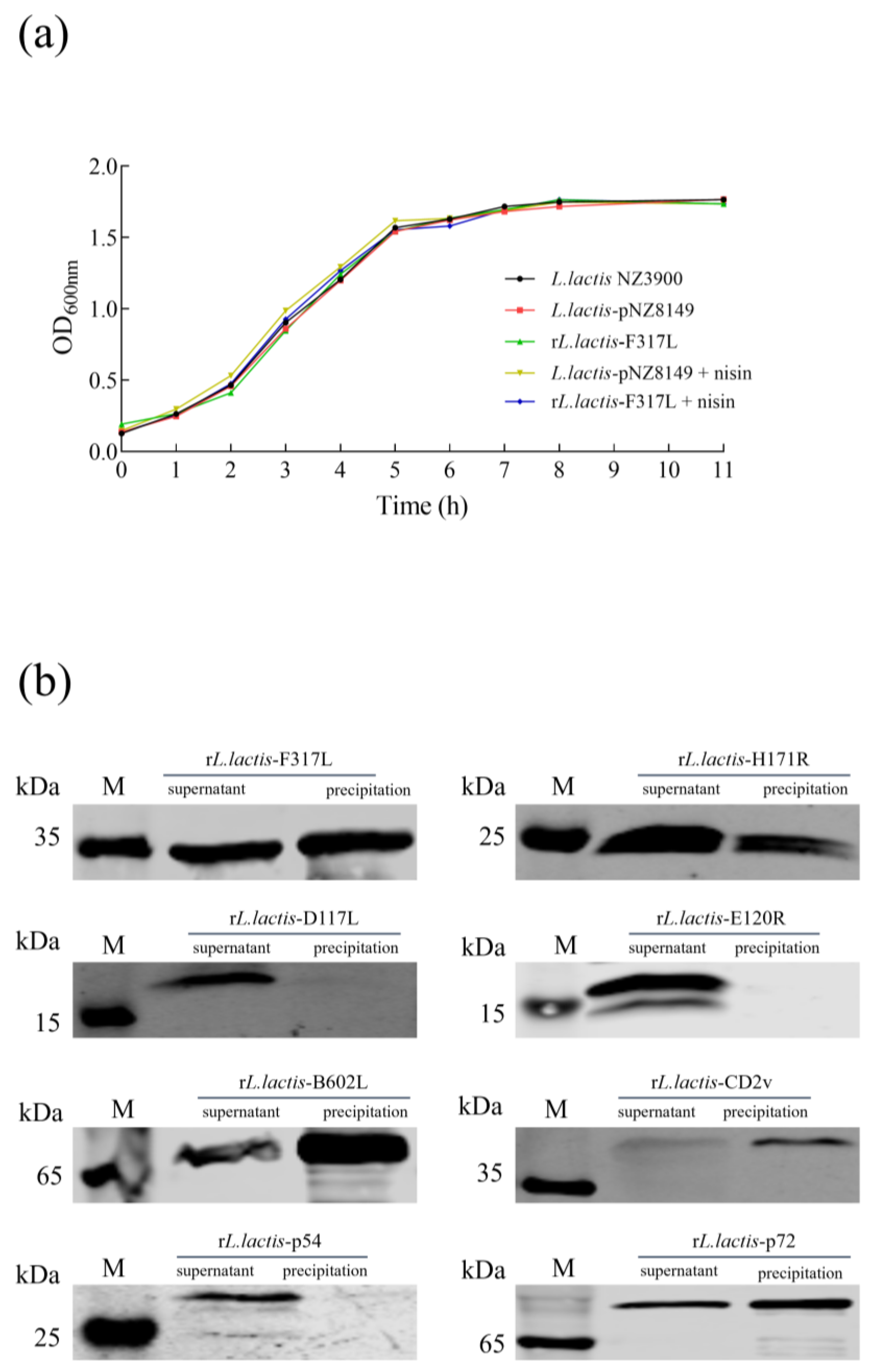 Vetsci 12 00140 g002