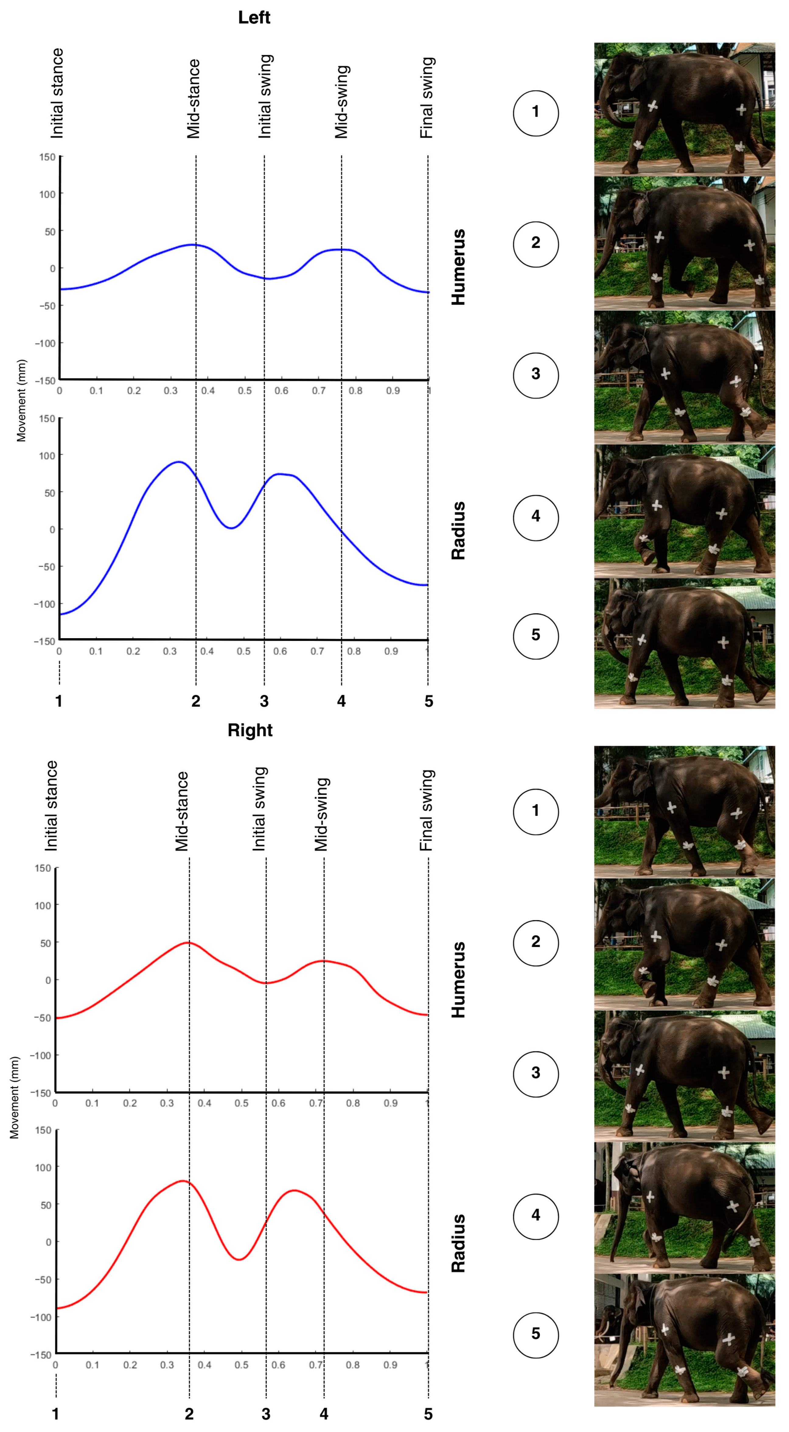 Vetsci 12 00154 g003