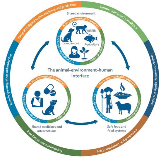 Vetsci 12 00157 g001