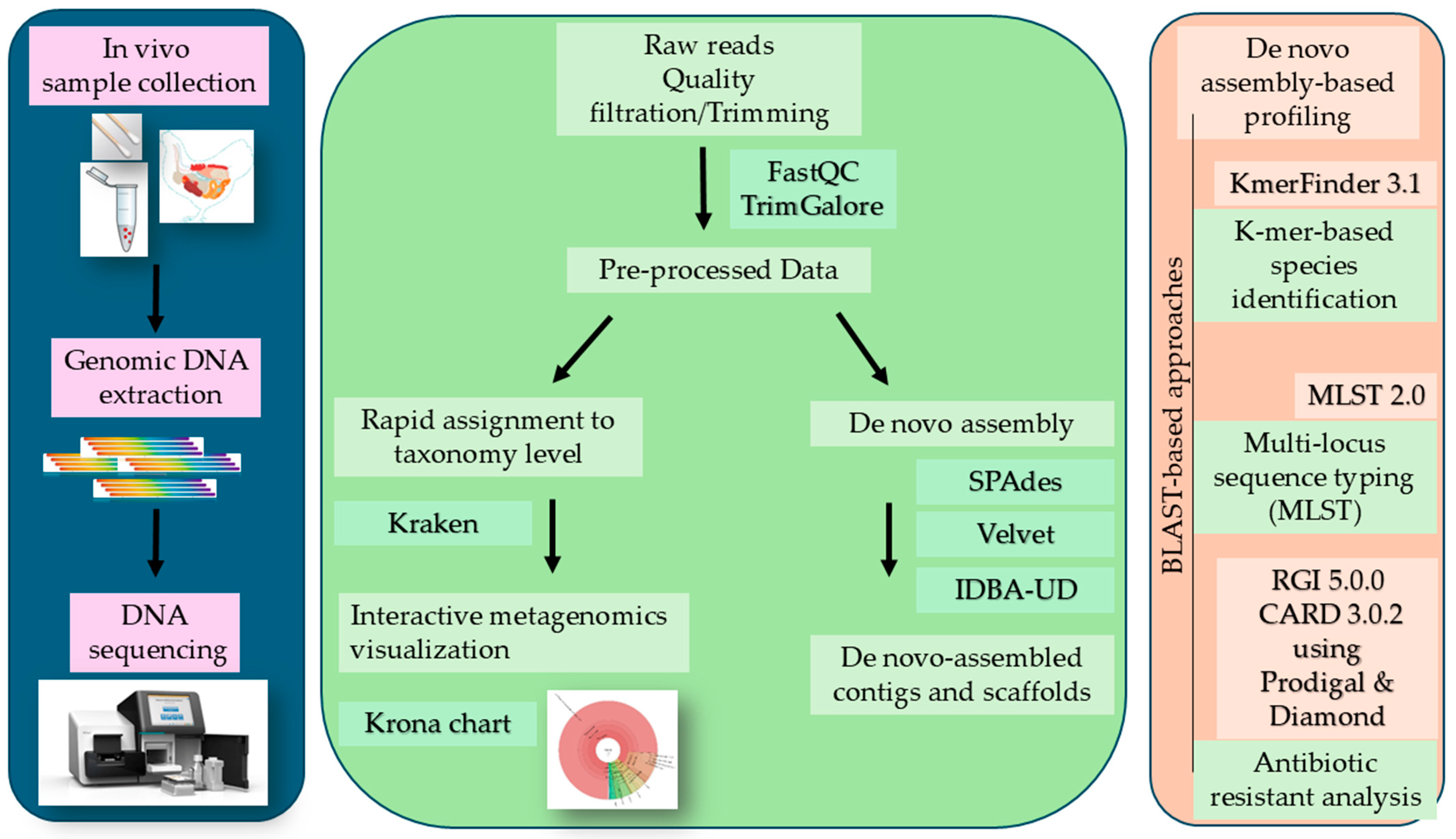 Vetsci 12 00162 g001