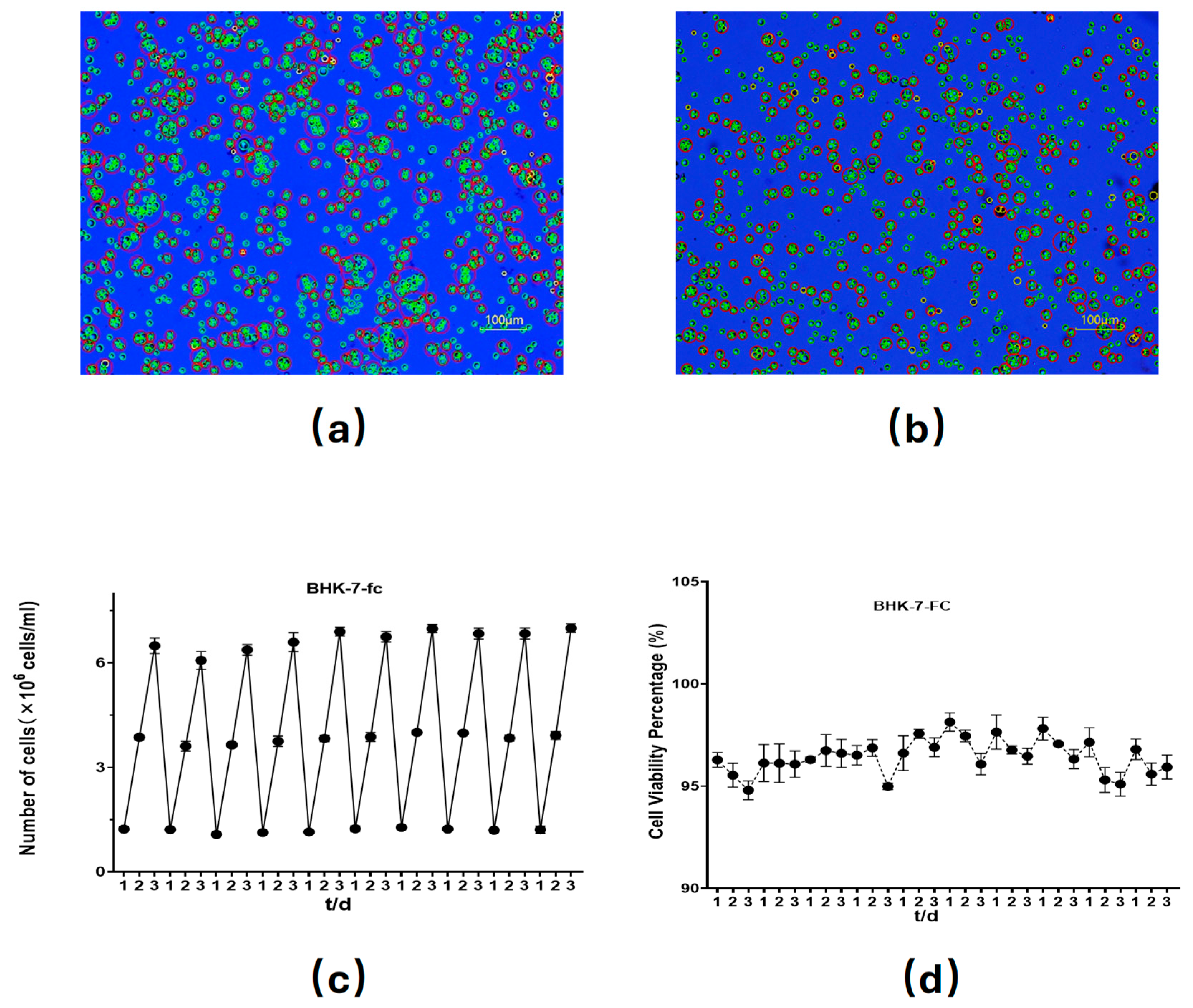Vetsci 12 00167 g003
