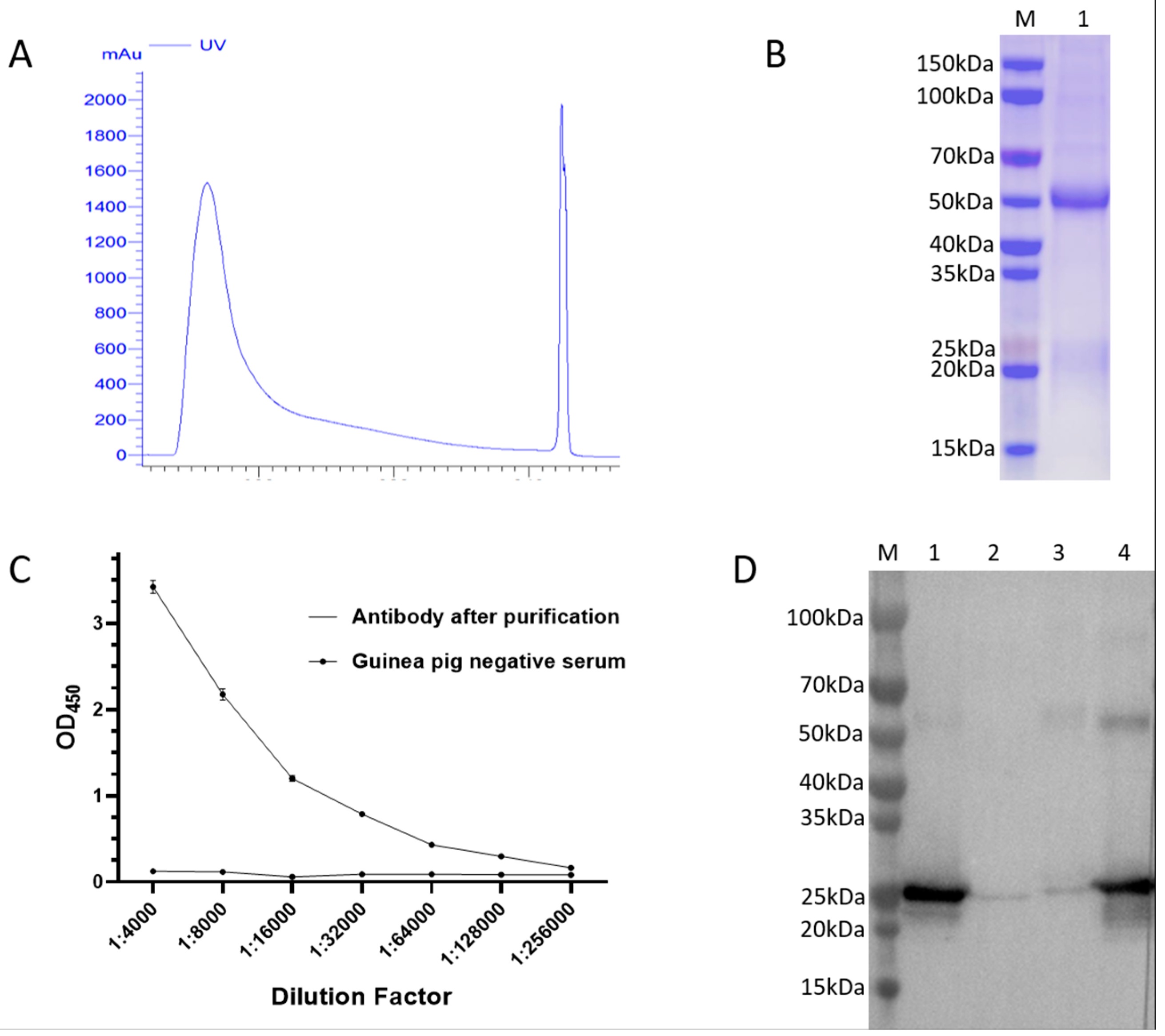 Vetsci 12 00170 g003 Vetsci 12 00170 g003