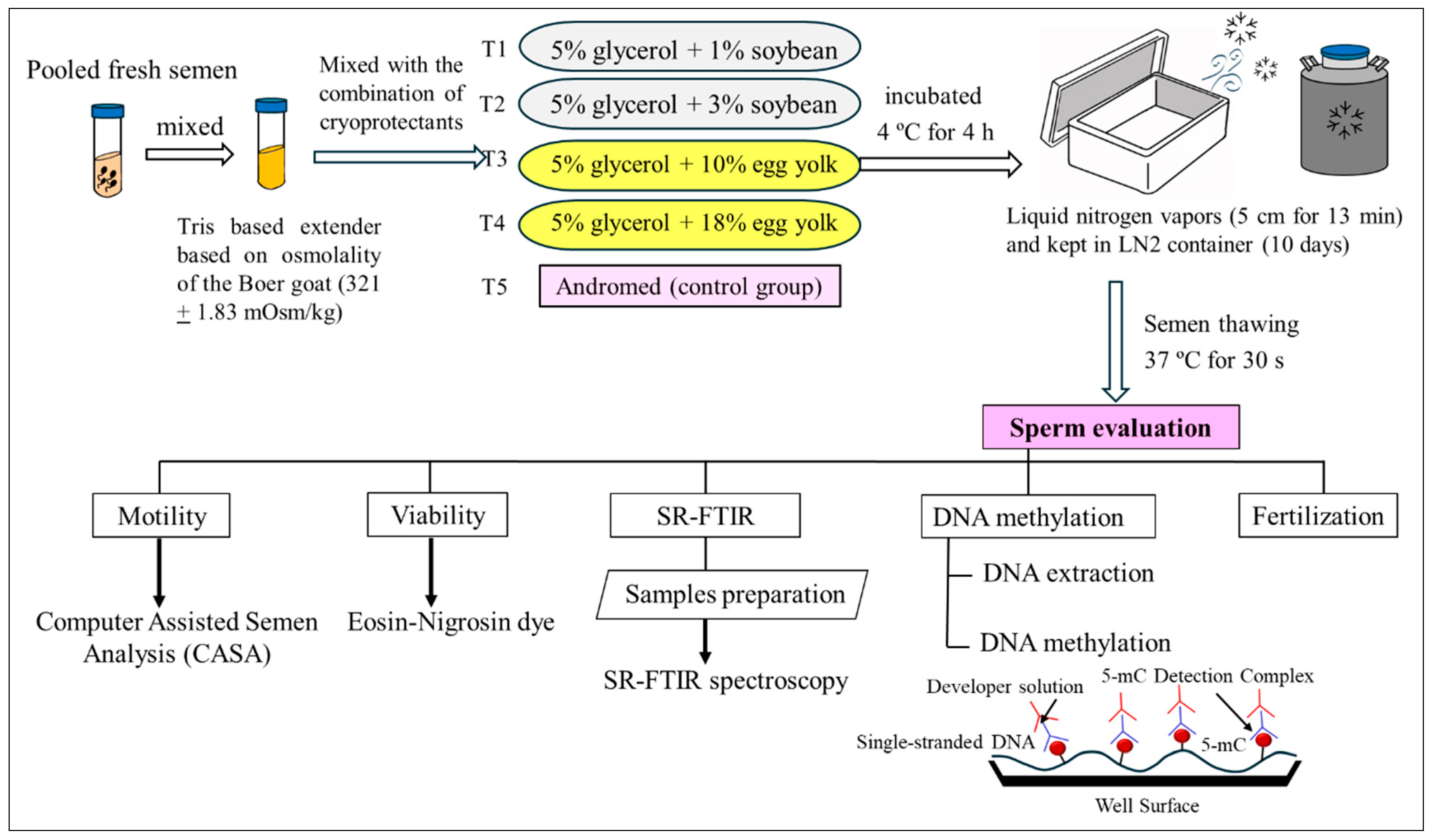 Vetsci 12 00178 g001