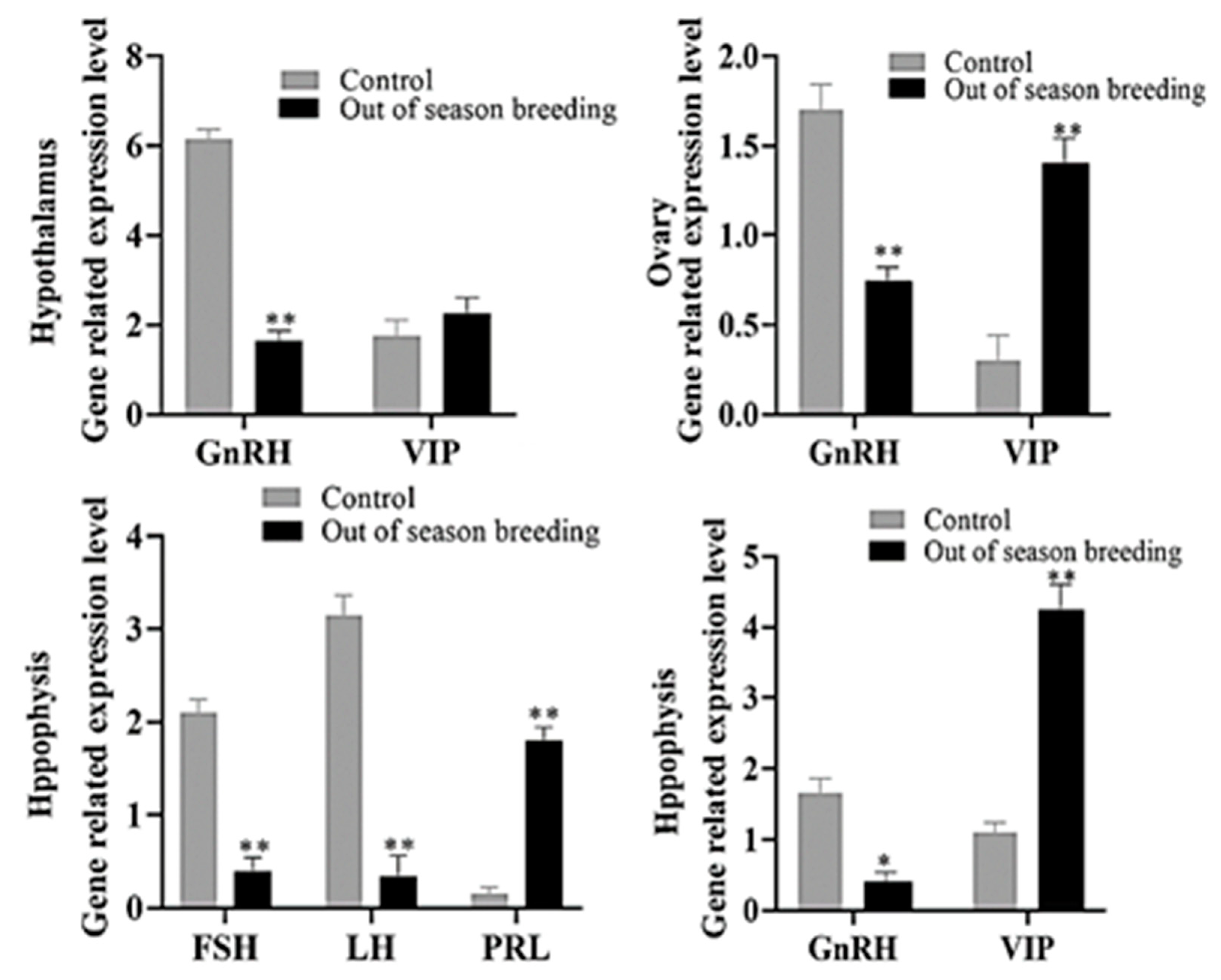 Vetsci 12 00179 g004 Vetsci 12 00179 g004