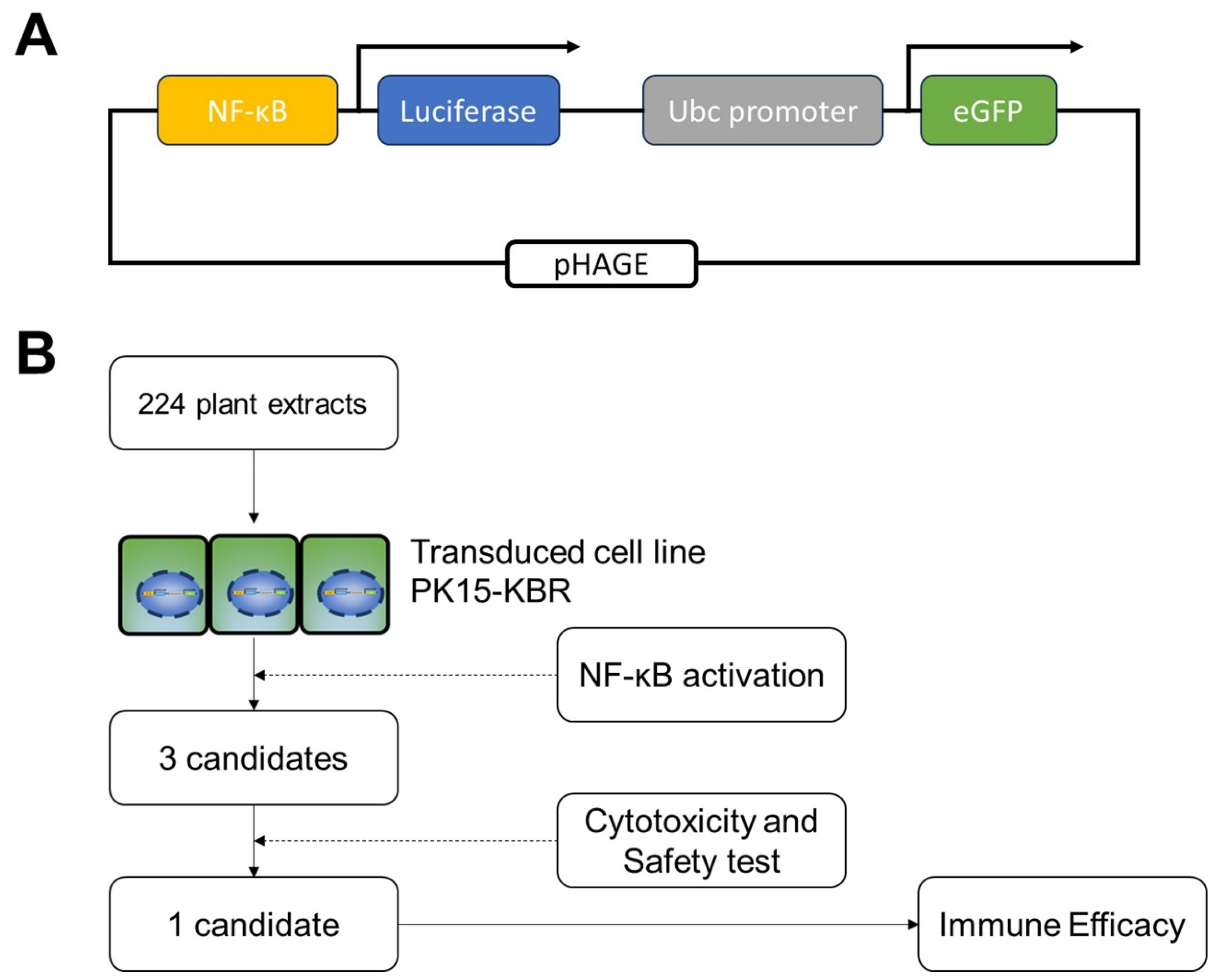 Vetsci 12 00181 g001