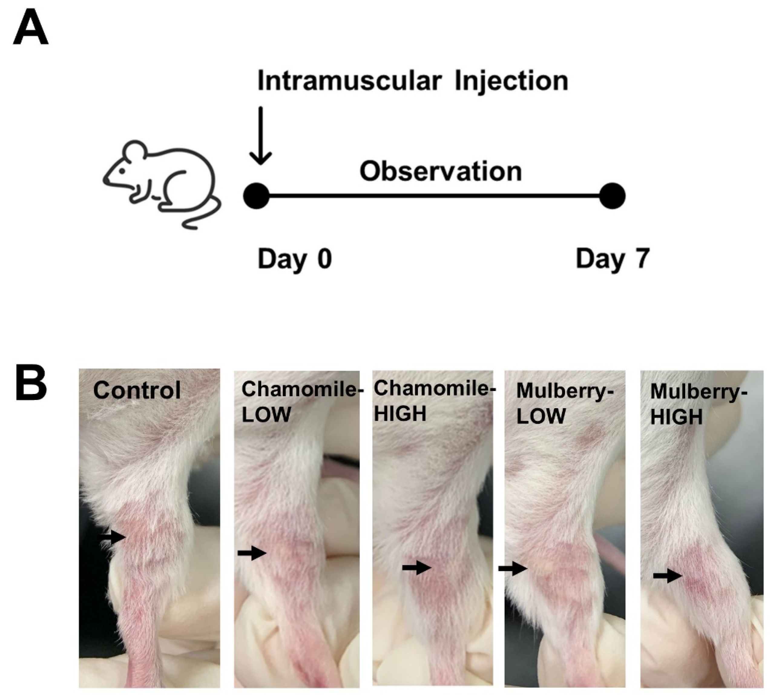 Vetsci 12 00181 g006