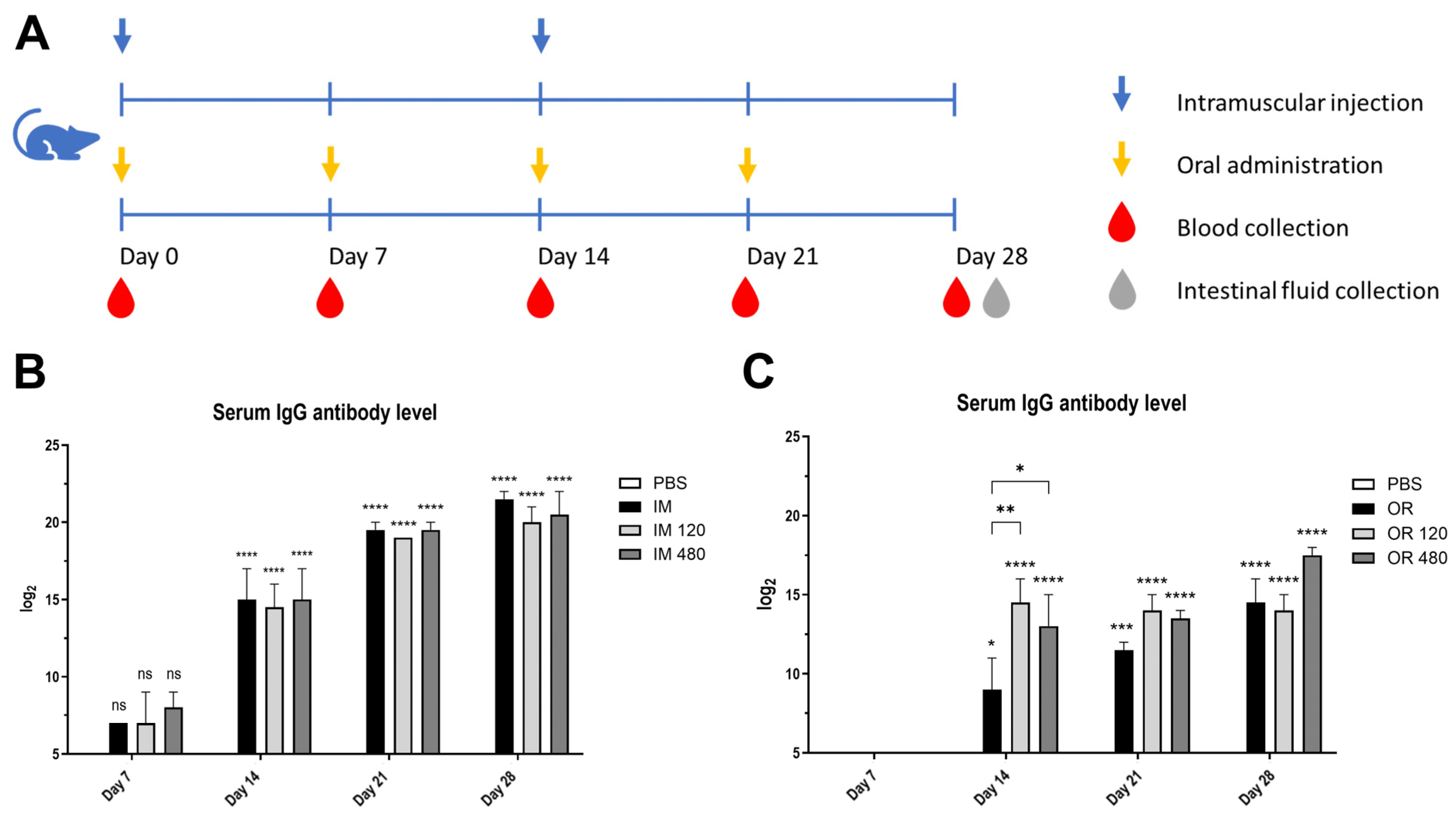 Vetsci 12 00181 g007