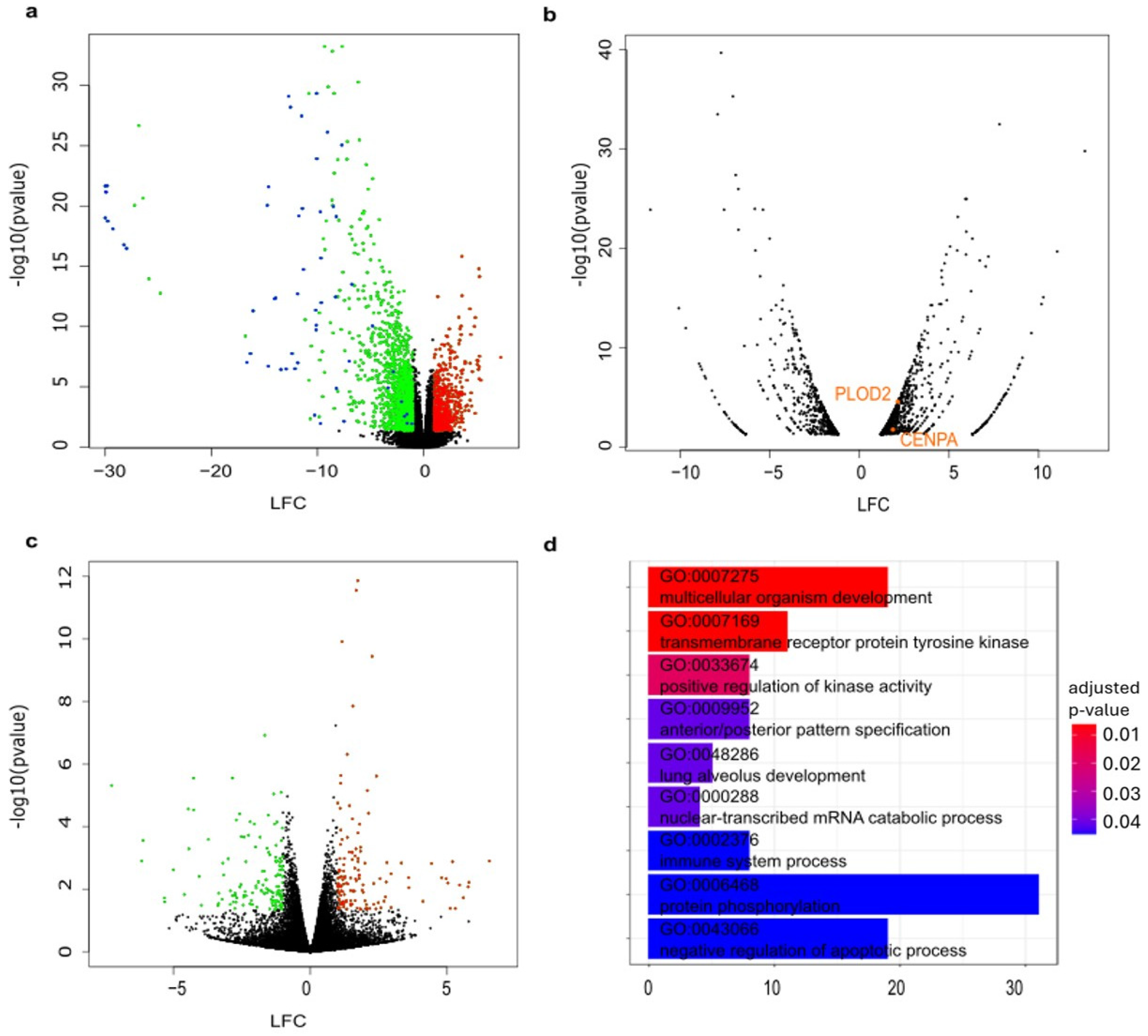 Vetsci 12 00183 g002