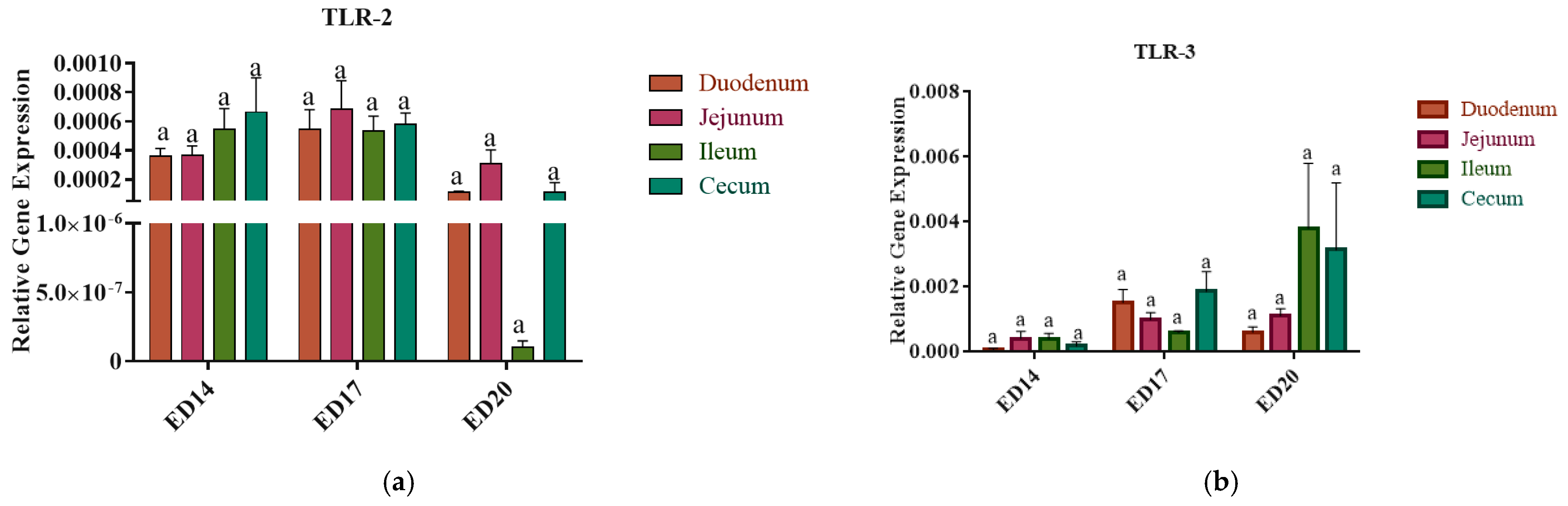 Vetsci 12 00186 g003a