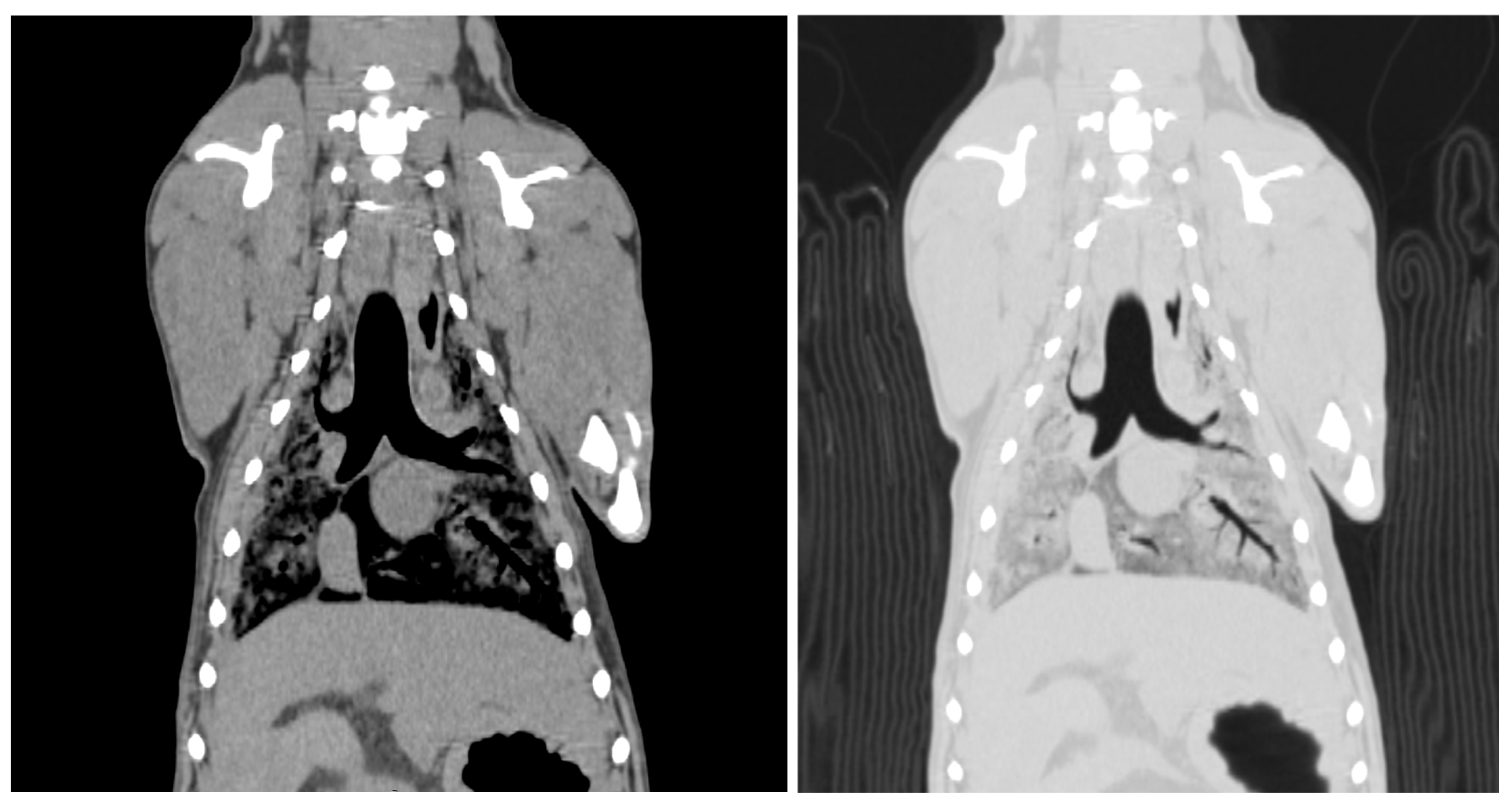 Vetsci 12 00188 g003 Vetsci 12 00188 g003